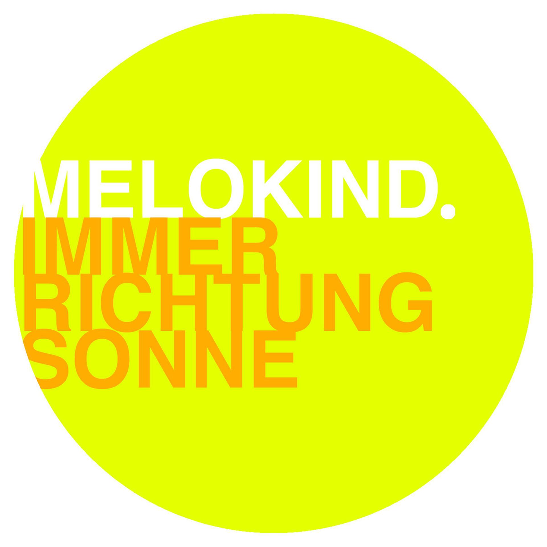 Постер альбома Immer Richtung Sonne