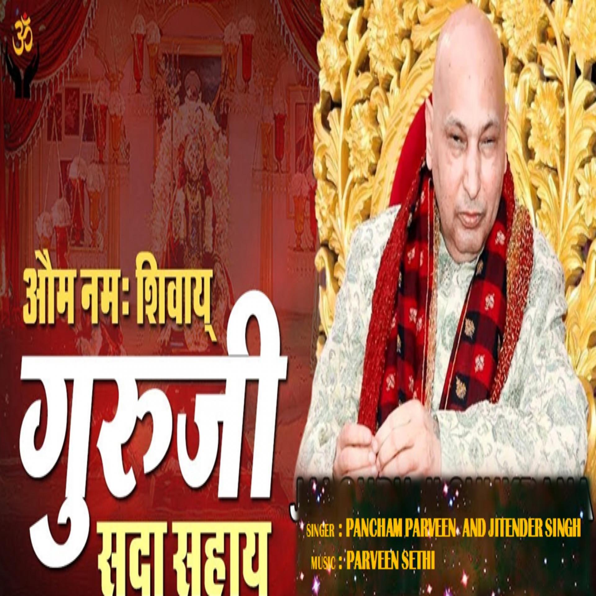 Постер альбома Om Namah Shivaaye Guruiji Sda Sahaye