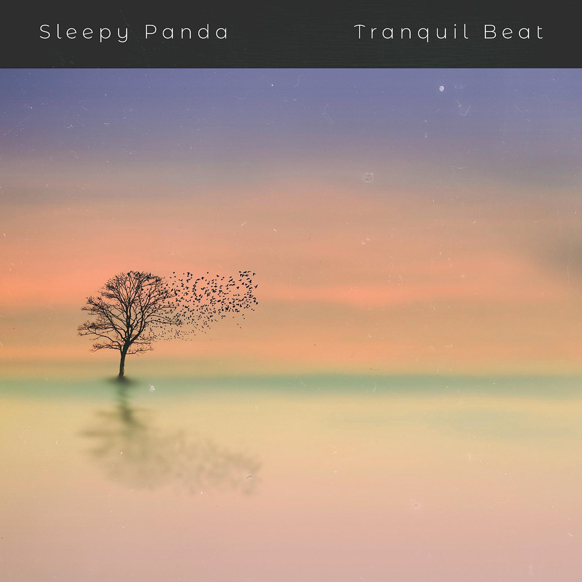 Постер альбома Tranquil Beat