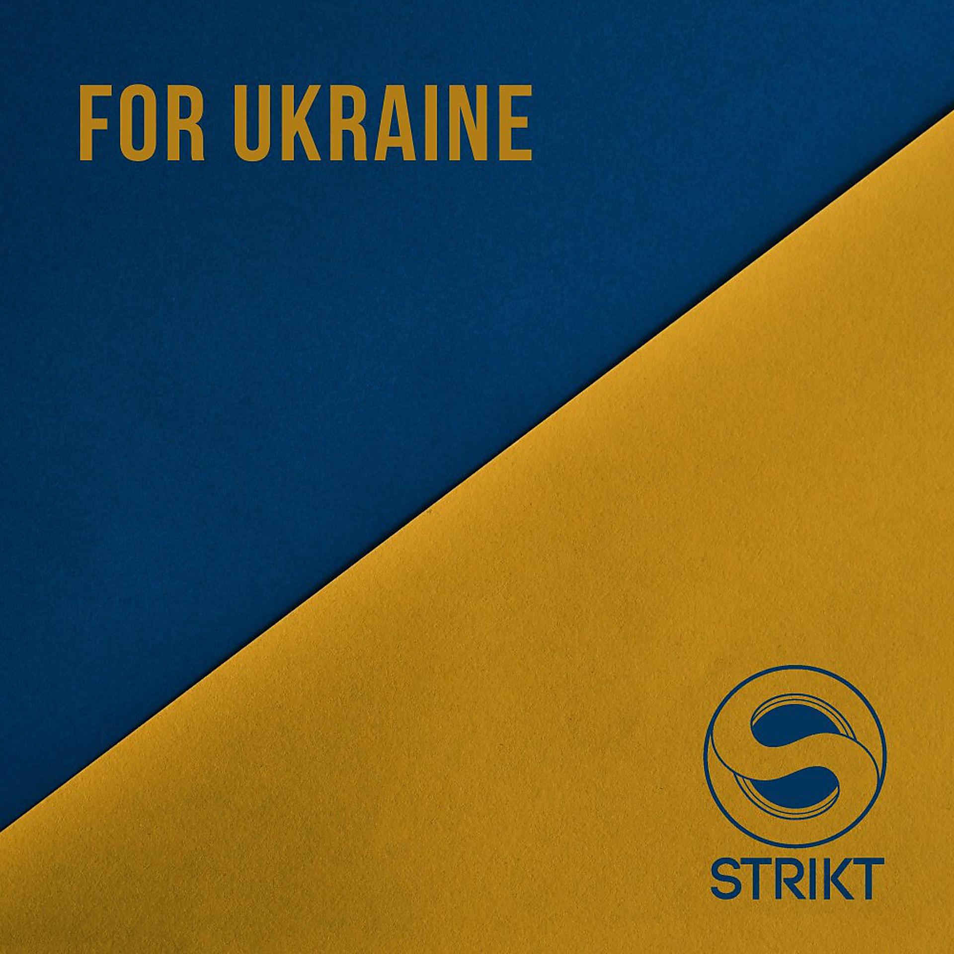 Постер альбома For Ukraine