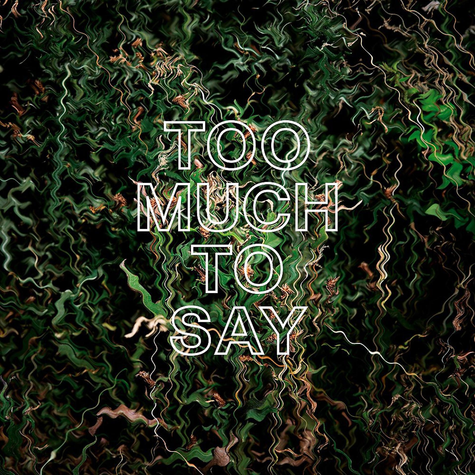 Постер альбома Too Much to Say (Single Edit)
