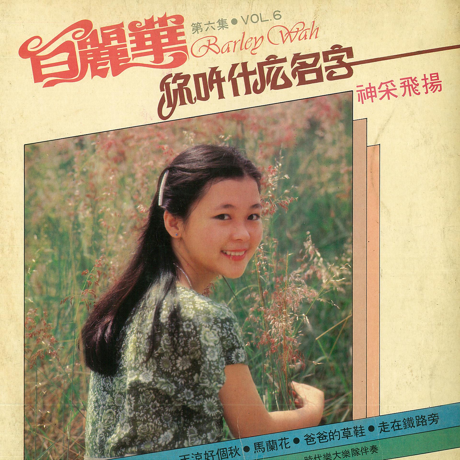 Постер альбома 白麗華，第六集