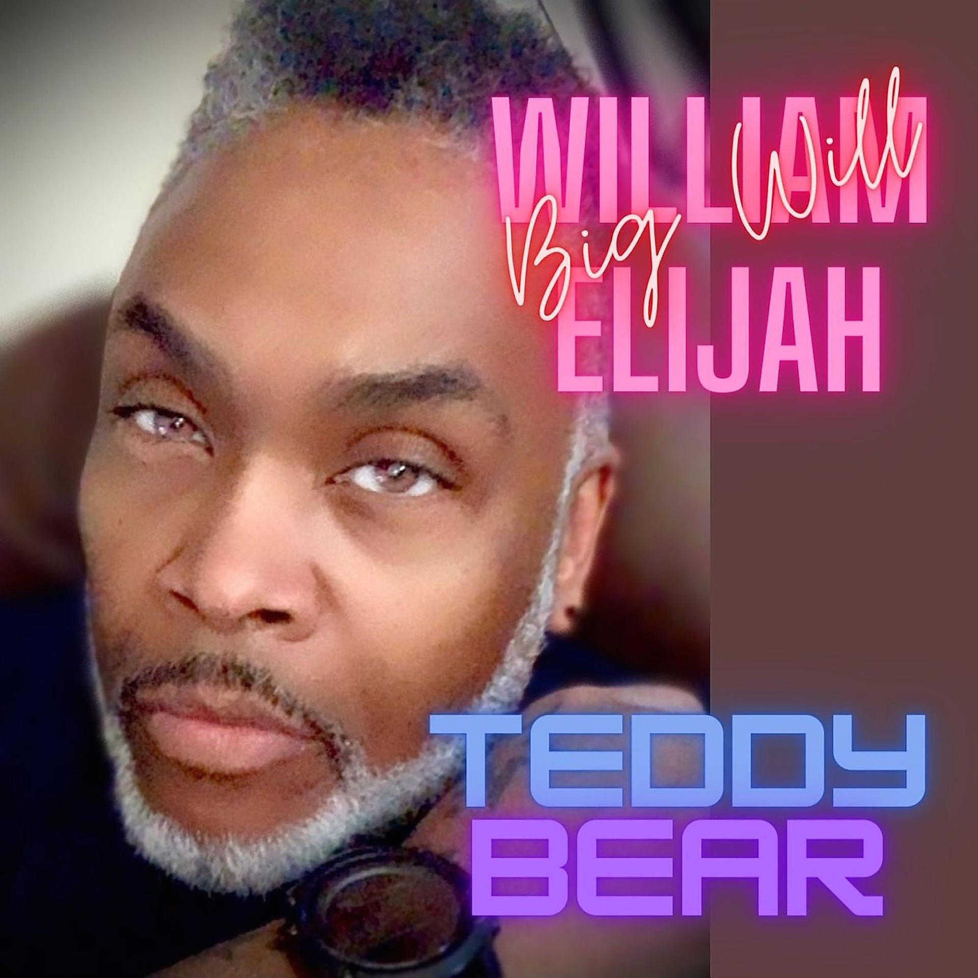 Постер альбома Teddy Bear
