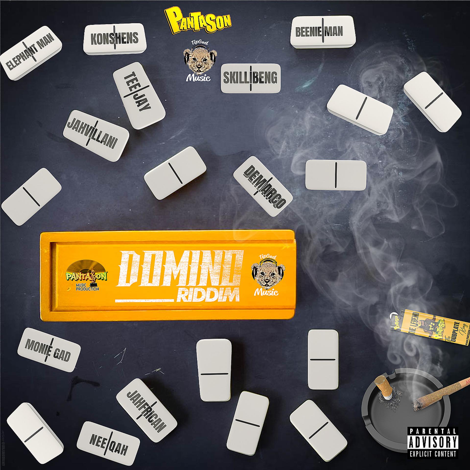 Постер альбома Domino Riddim