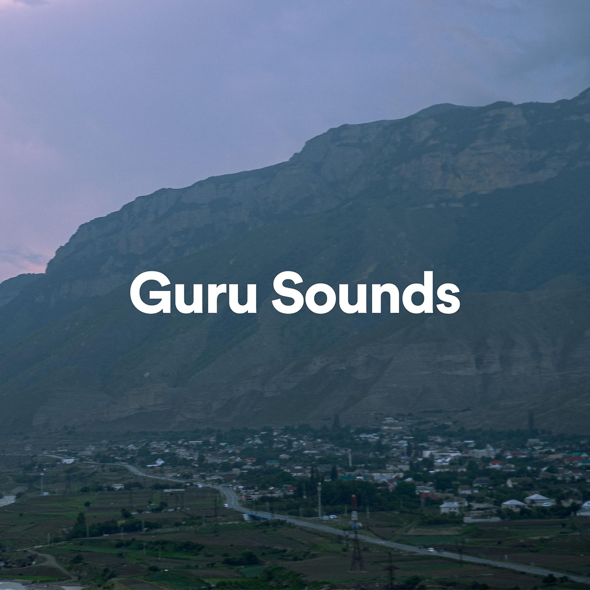 Постер альбома Guru Sounds