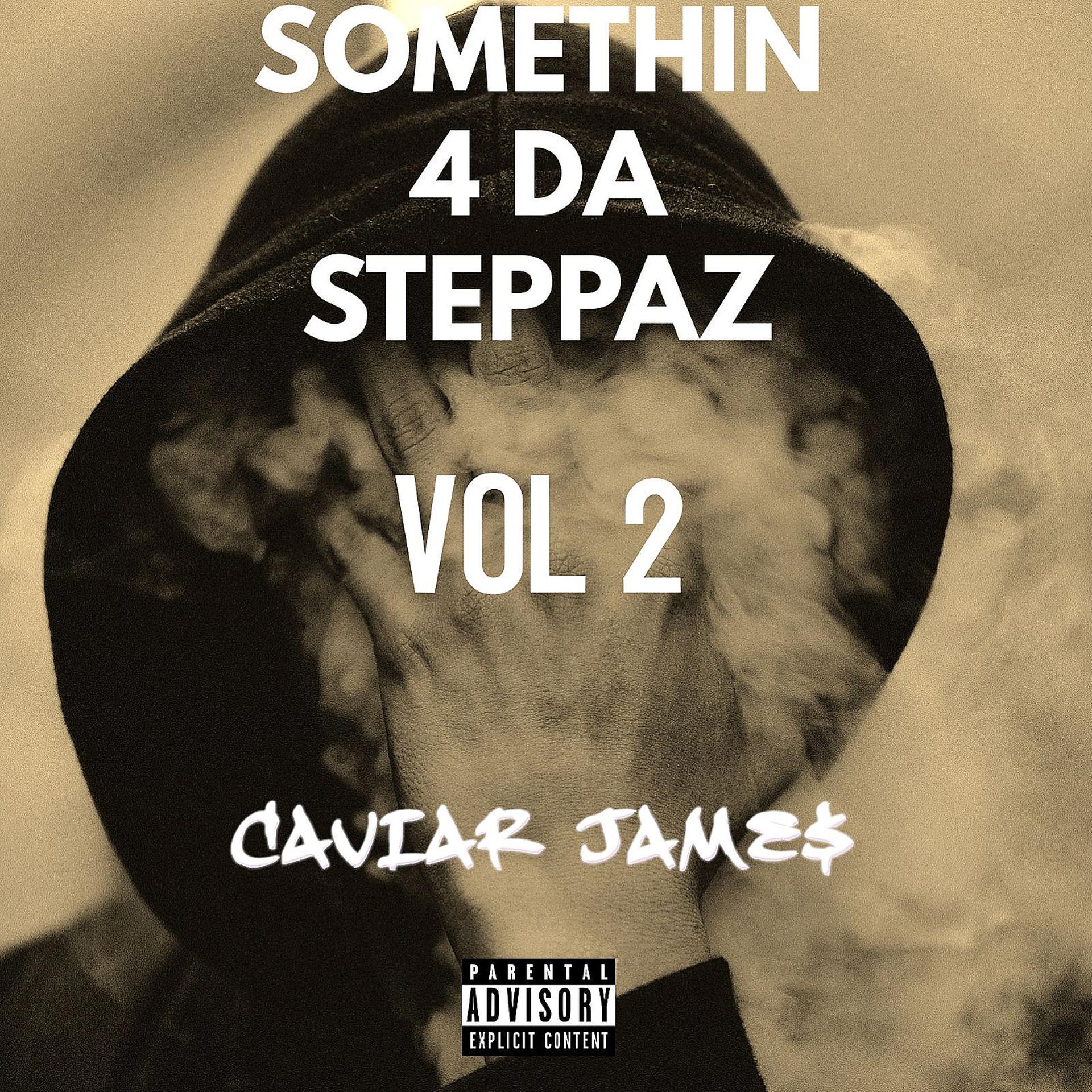 Постер альбома Somethin 4 da Steppaz, Vol. 2