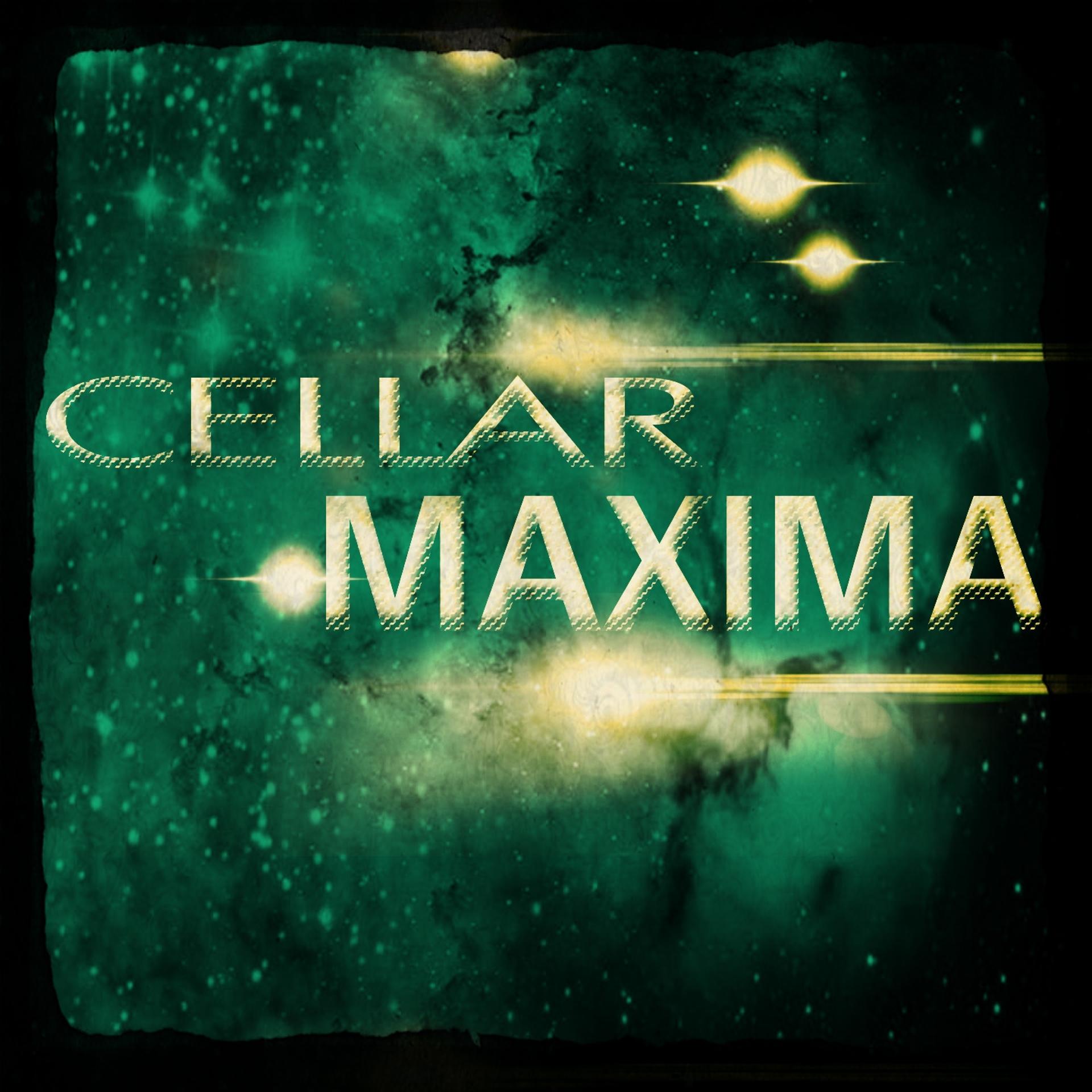 Постер альбома Cellar Maxima (88 Massive Dance Hits 2015 Ibiza Electro House Deep Latin Hands Up)