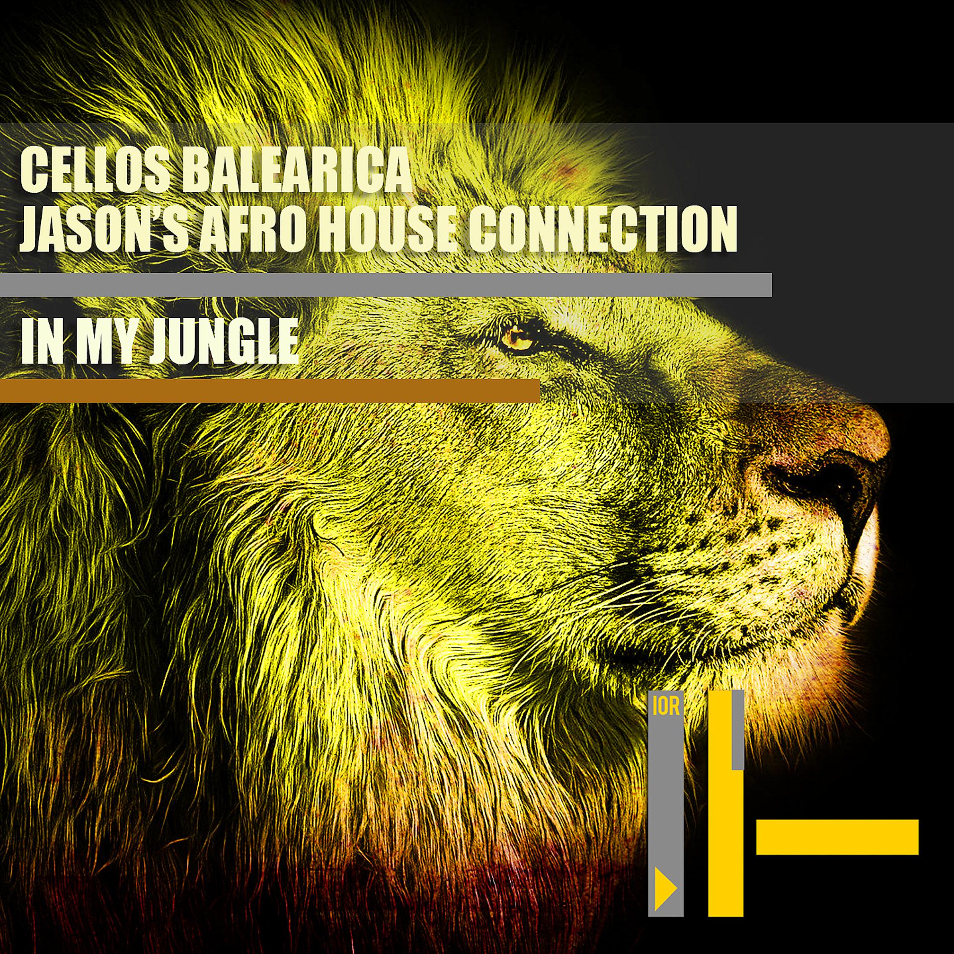 Постер альбома In My Jungle