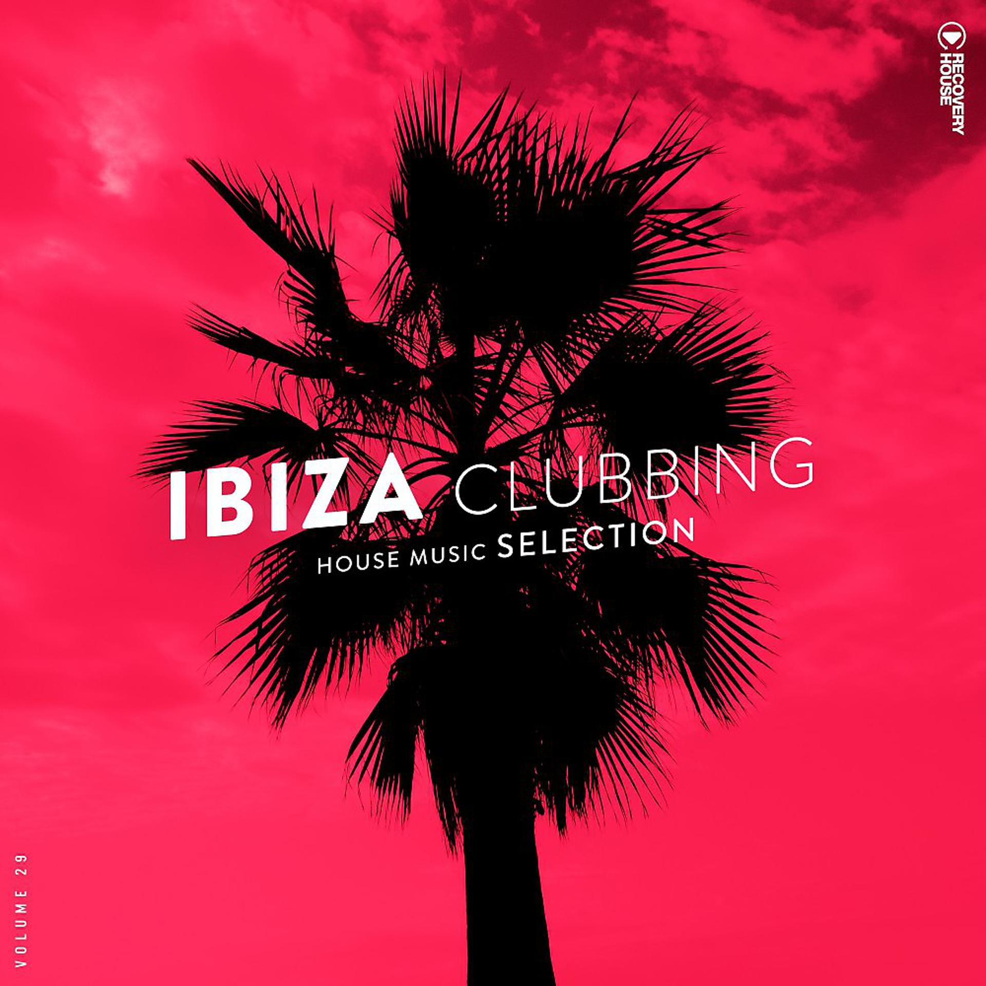Постер альбома Ibiza Clubbing, Vol. 29