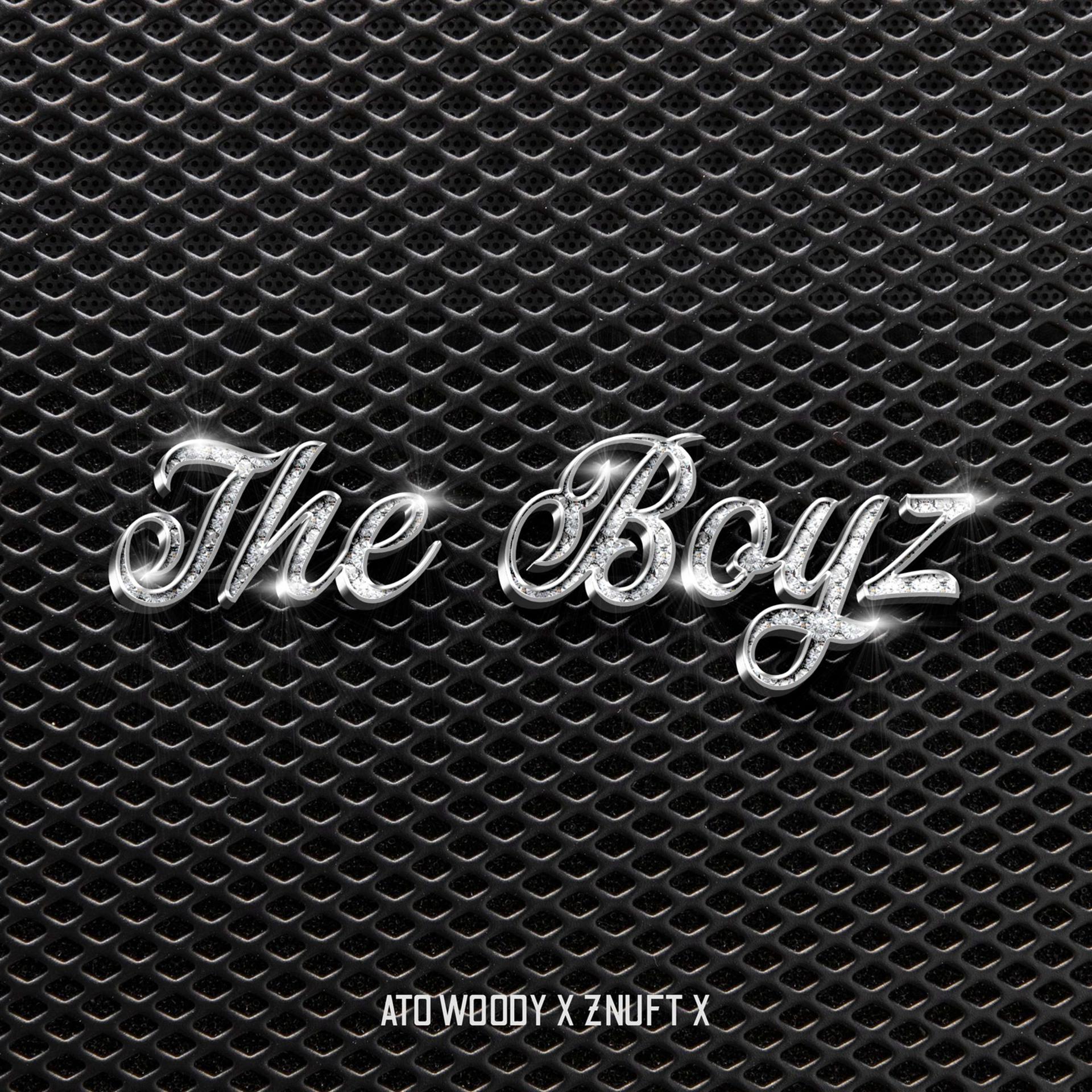 Постер альбома The Boyz
