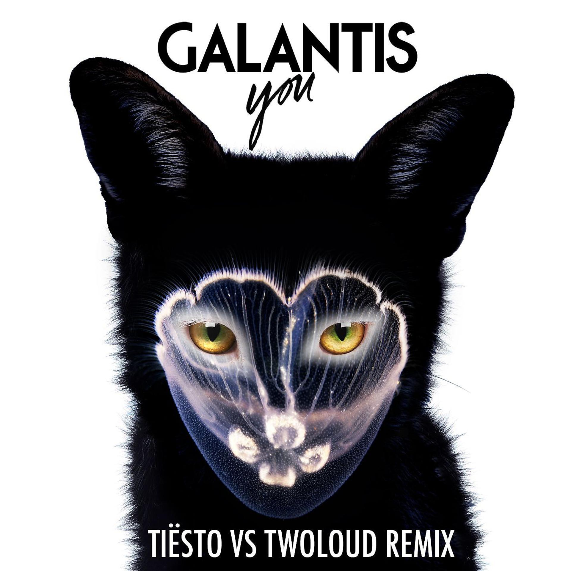 Постер альбома You (Tiësto vs. Twoloud Radio Edit)