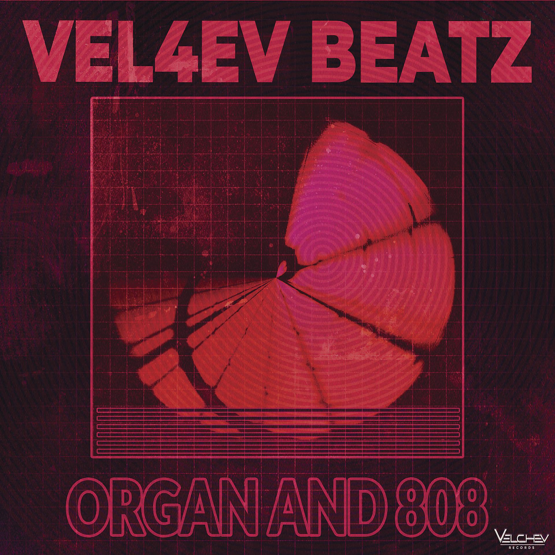 Постер альбома Organ and 808