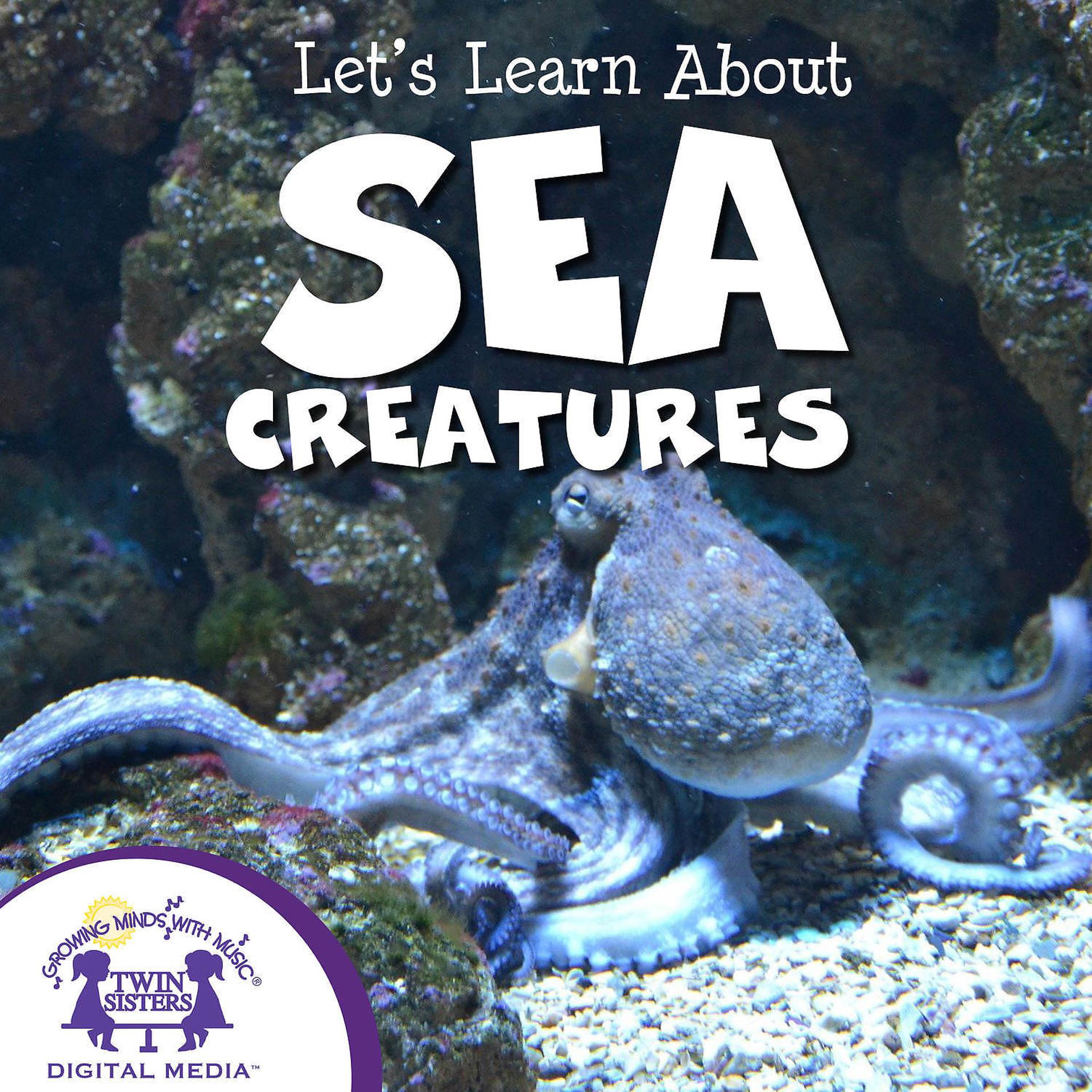 Постер альбома Let's Learn About Sea Creatures