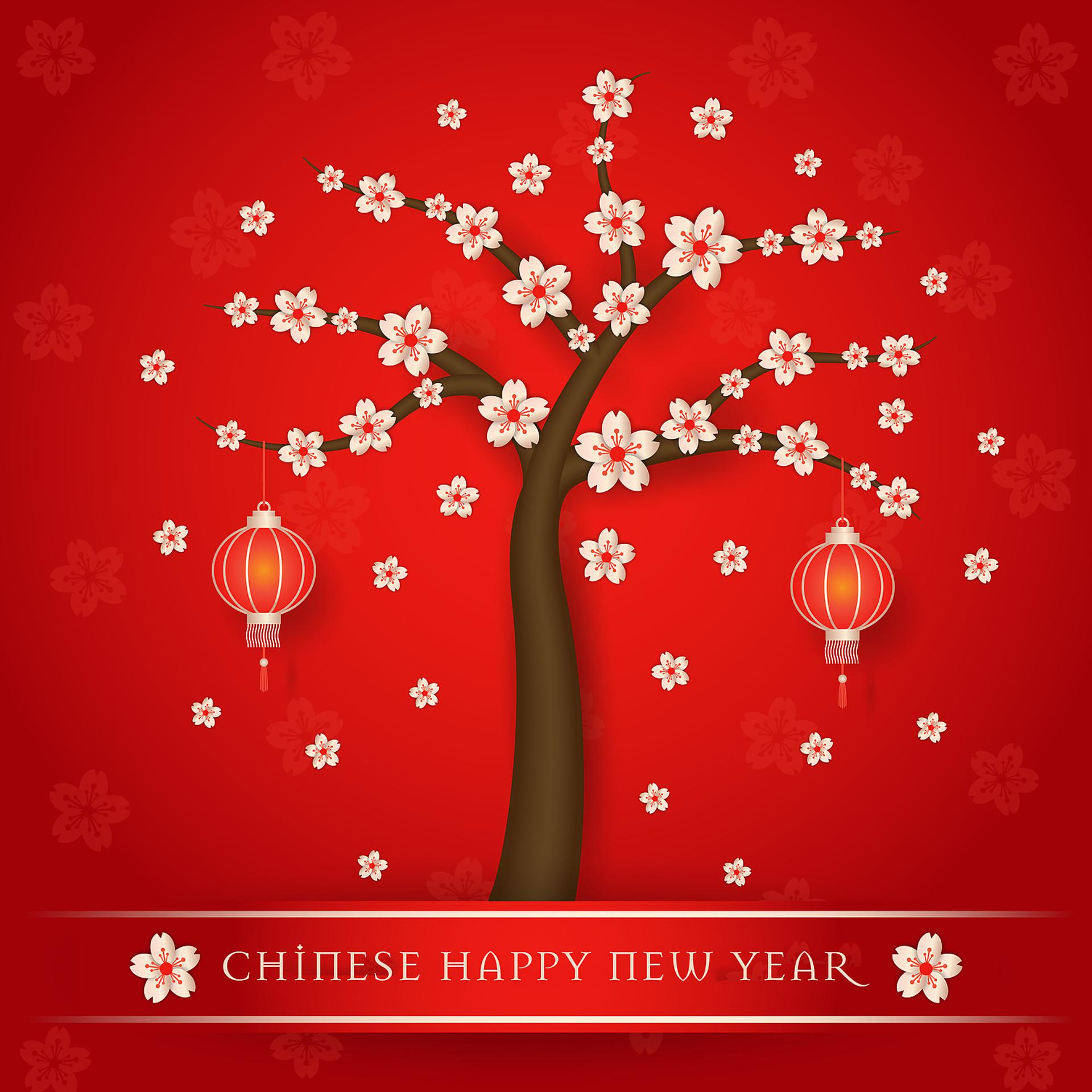 Постер альбома Chinese Happy New Year: Chinese Sounds for Relax, Celebrating New Year with Chinese Vibes