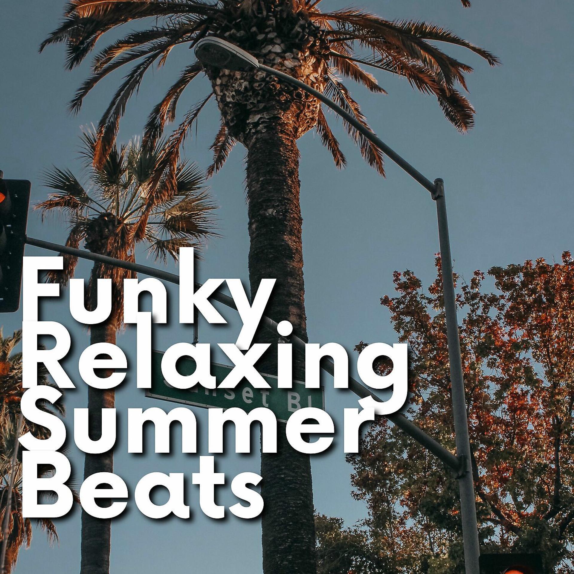 Постер альбома Funky Relaxing Summer Beats