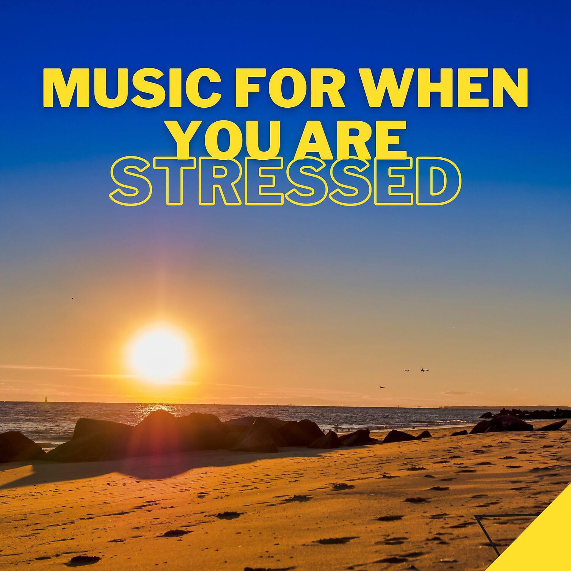 Постер альбома Music for When You Are Stressed