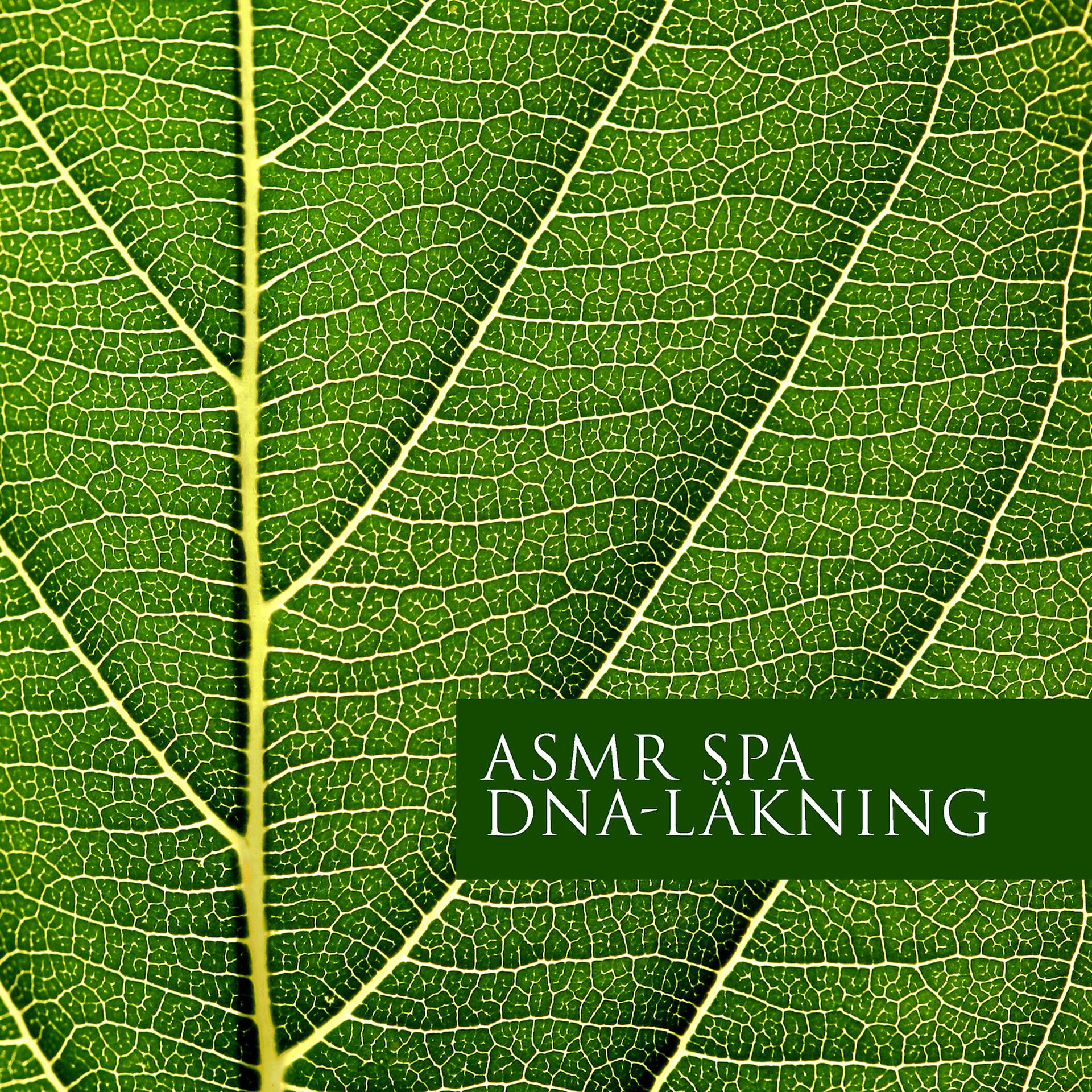 Постер альбома ASMR spa: DNA-läkning, Prenatal utveckling, Kärleksfull omtanke meditation, ASMRNature Sounds 2022