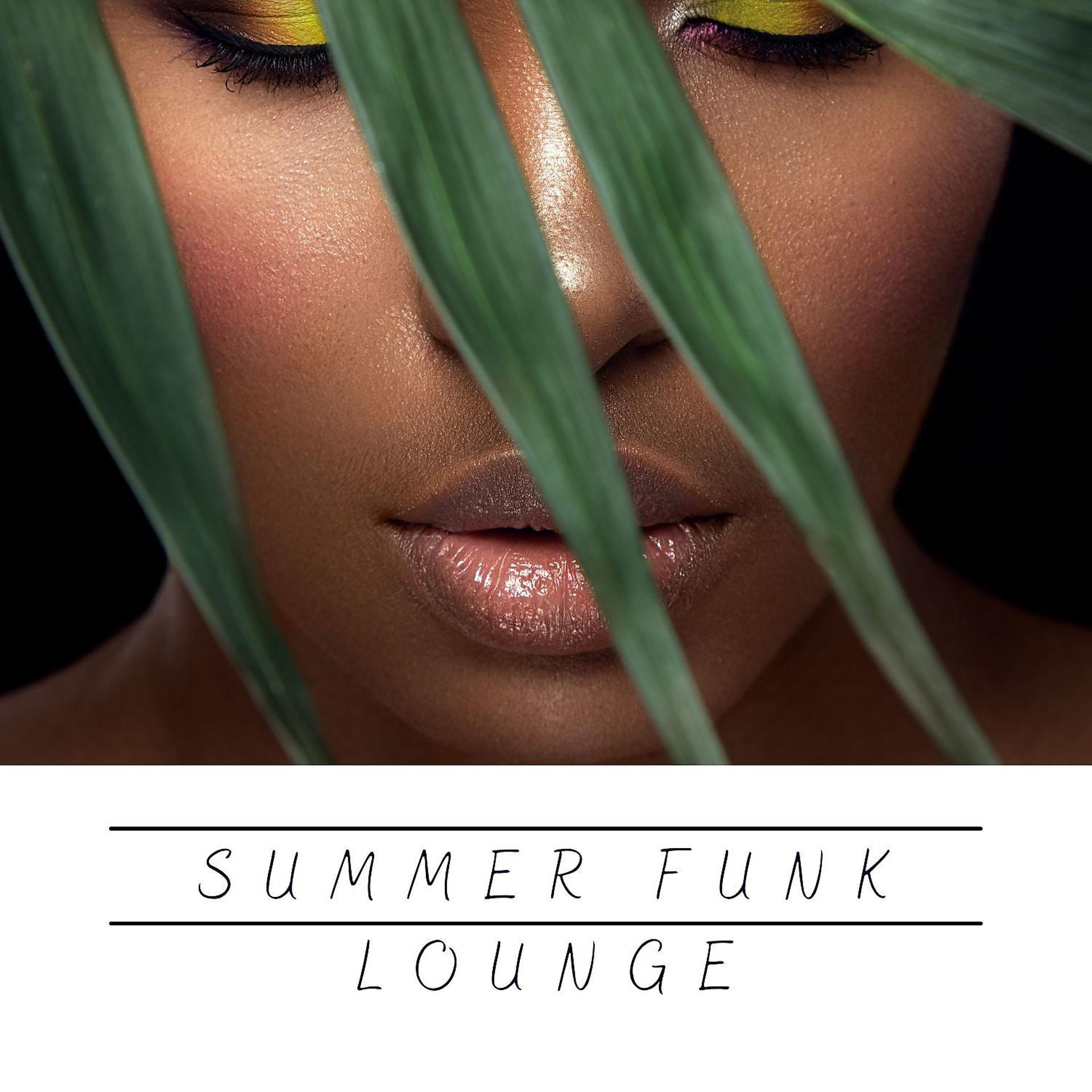 Постер альбома Summer Funk Lounge