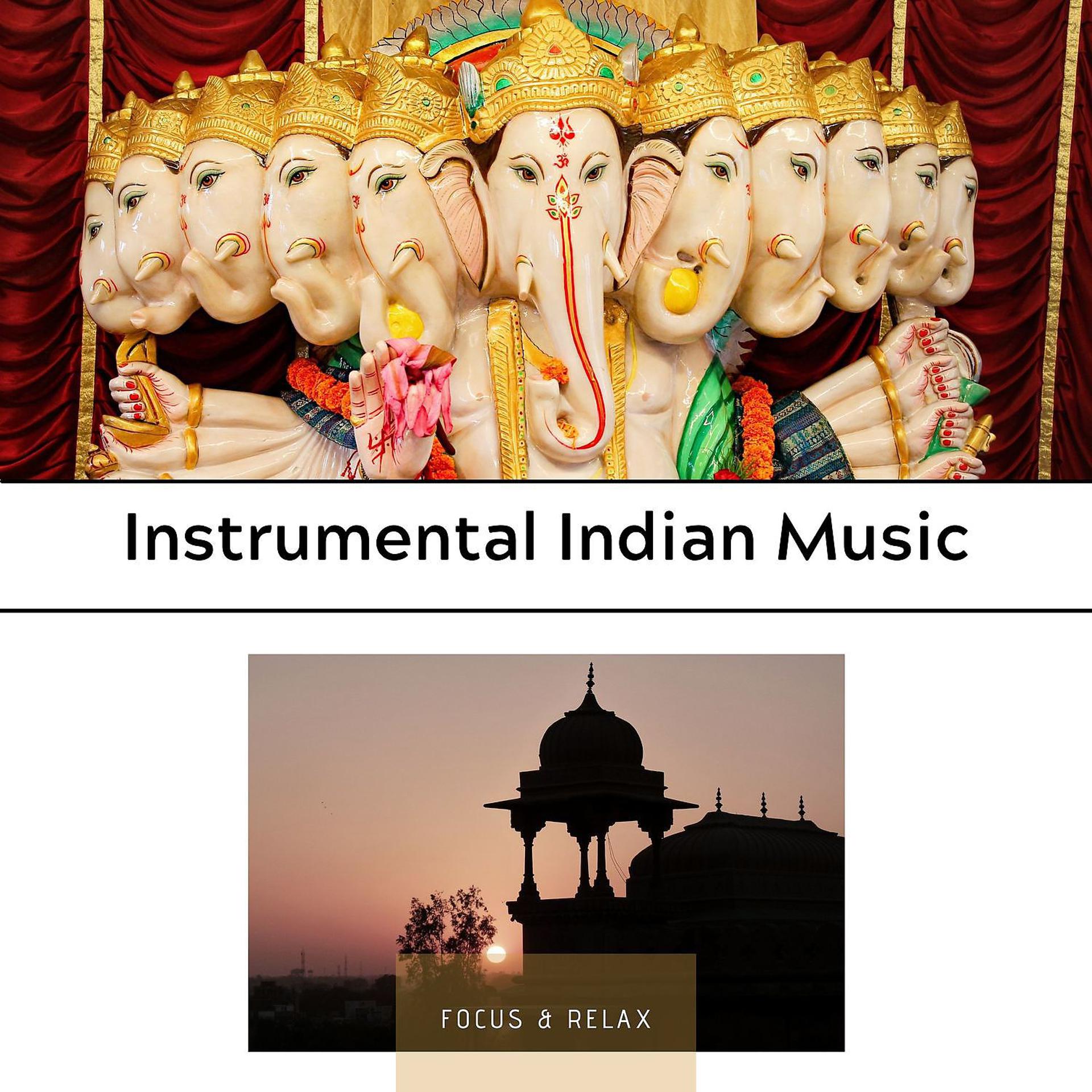 Постер альбома Instrumental Indian Music