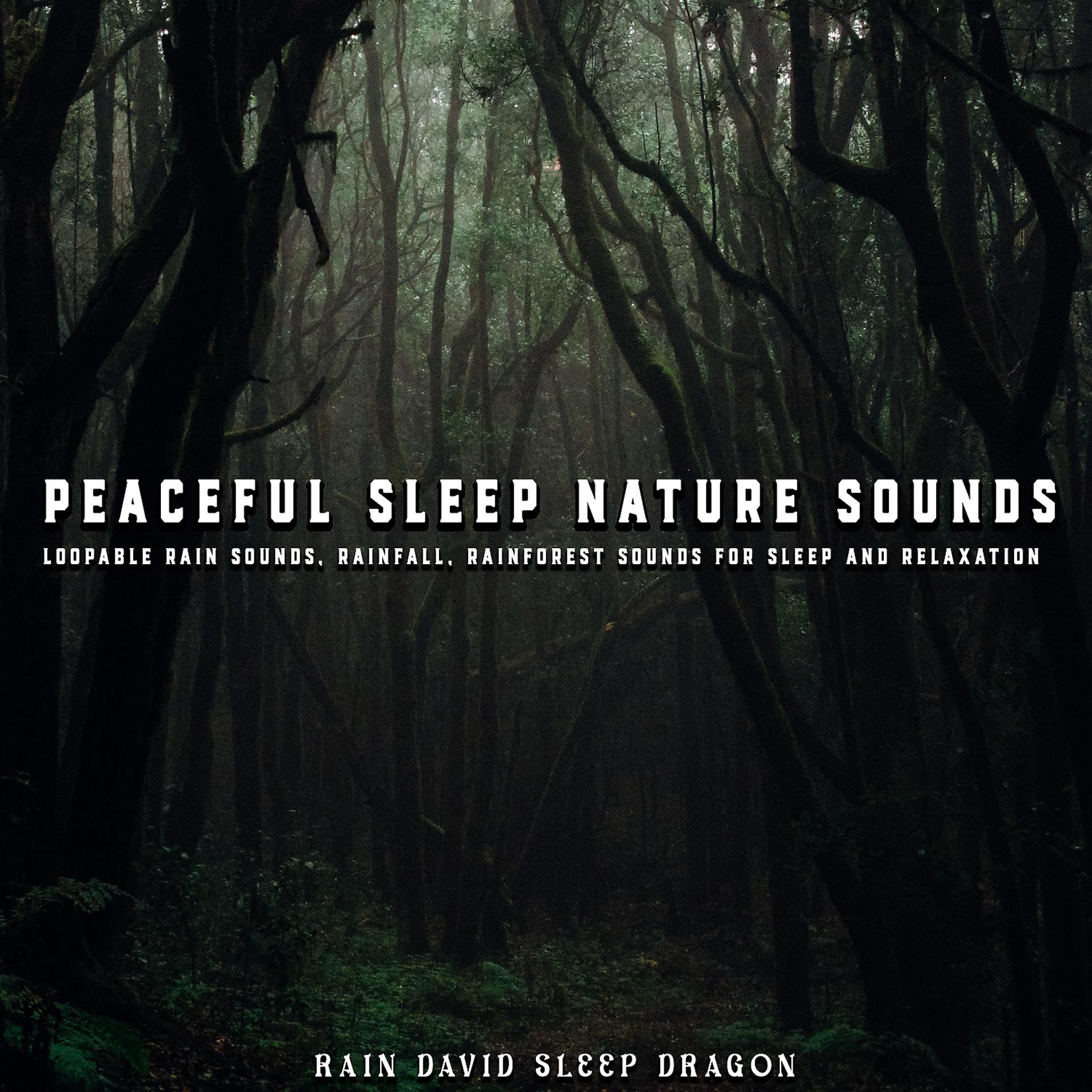 Постер альбома Peaceful Sleep Nature Sounds, Loopable Rain Sounds, Rainfall, Rainforest Sounds for Sleep and Relaxation