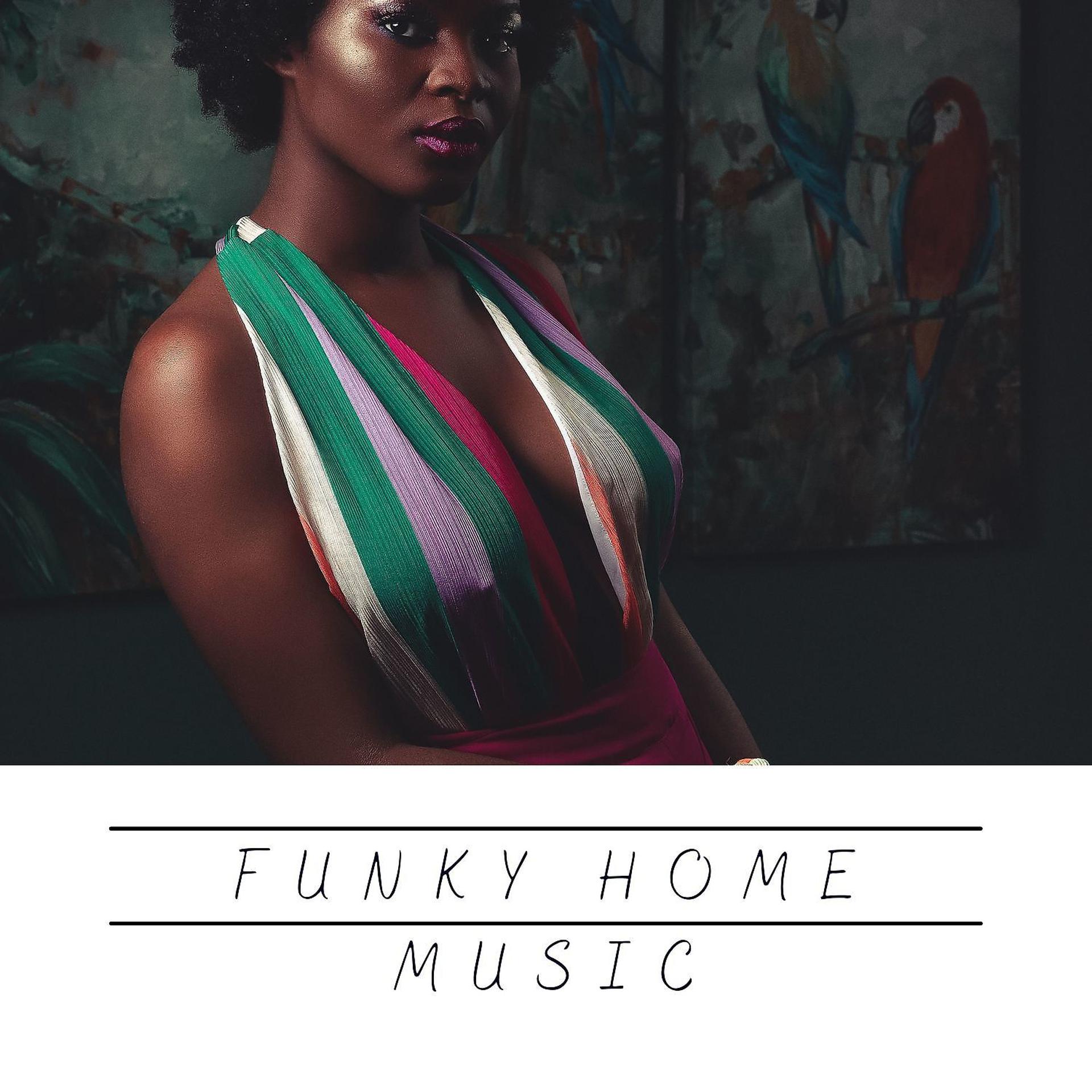 Постер альбома Funky Home Music