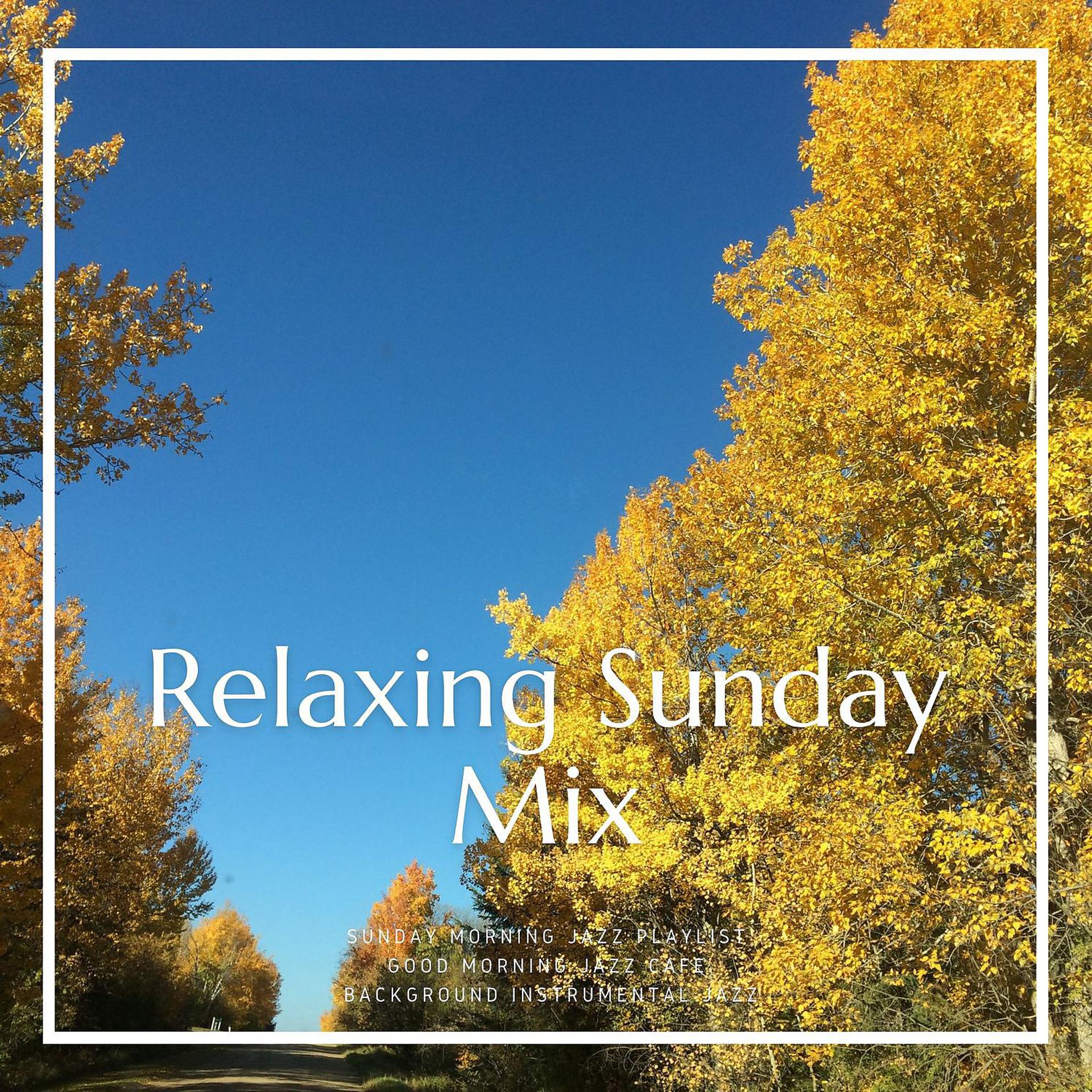 Постер альбома Relaxing Sunday Mix
