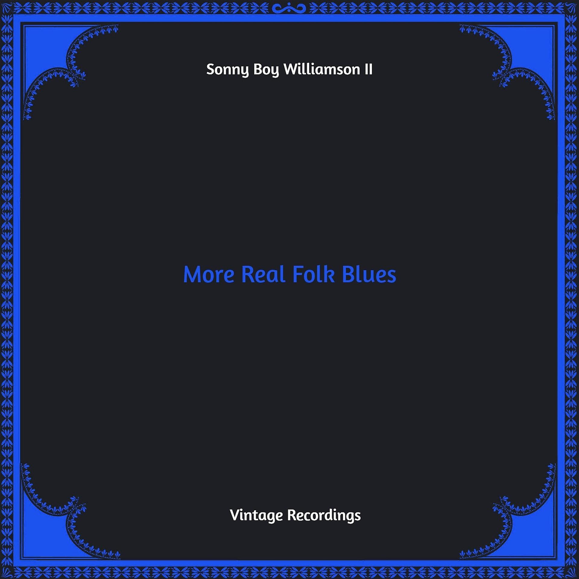 Постер альбома More Real Folk Blues