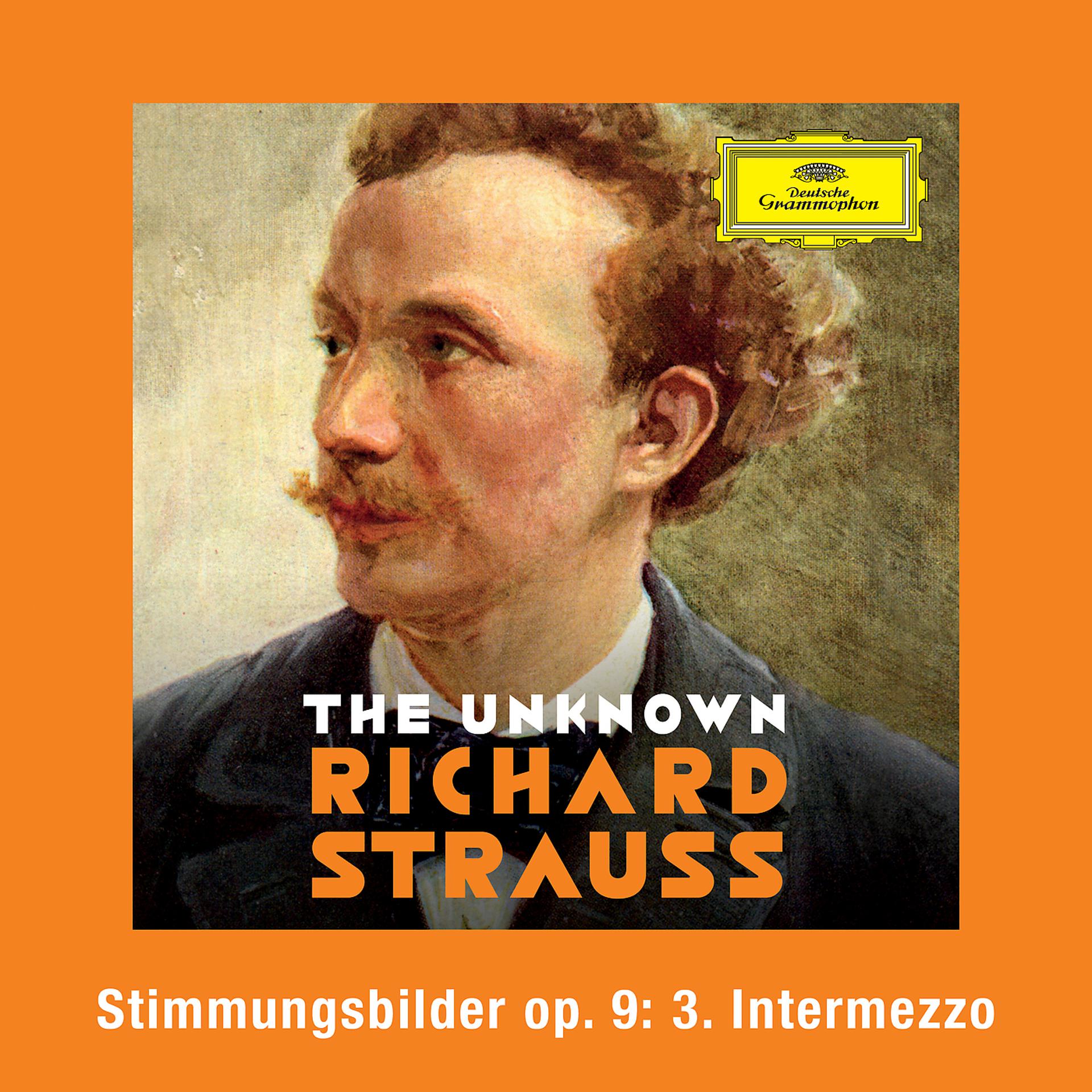 Постер альбома Strauss: Stimmungsbilder, Op. 9: No. 3 Intermezzo