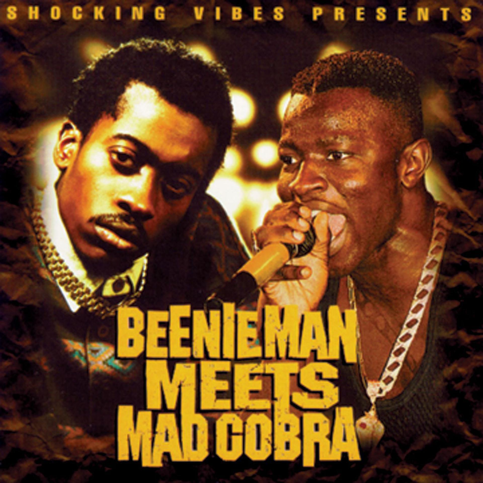 Постер альбома Beenie Man Meets Mad Cobra