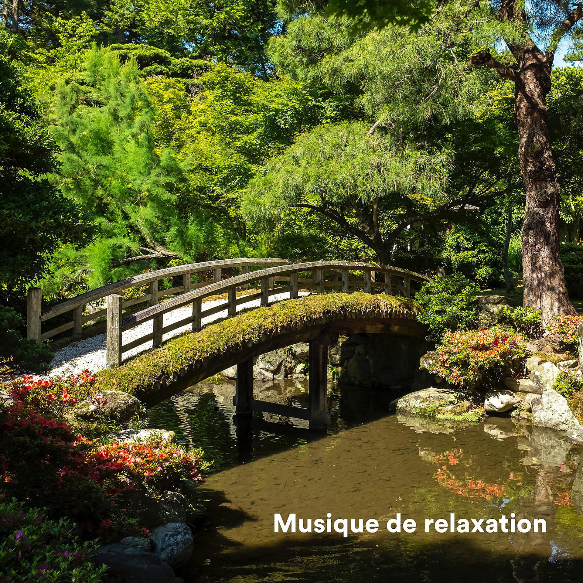 Постер альбома Musique de relaxation