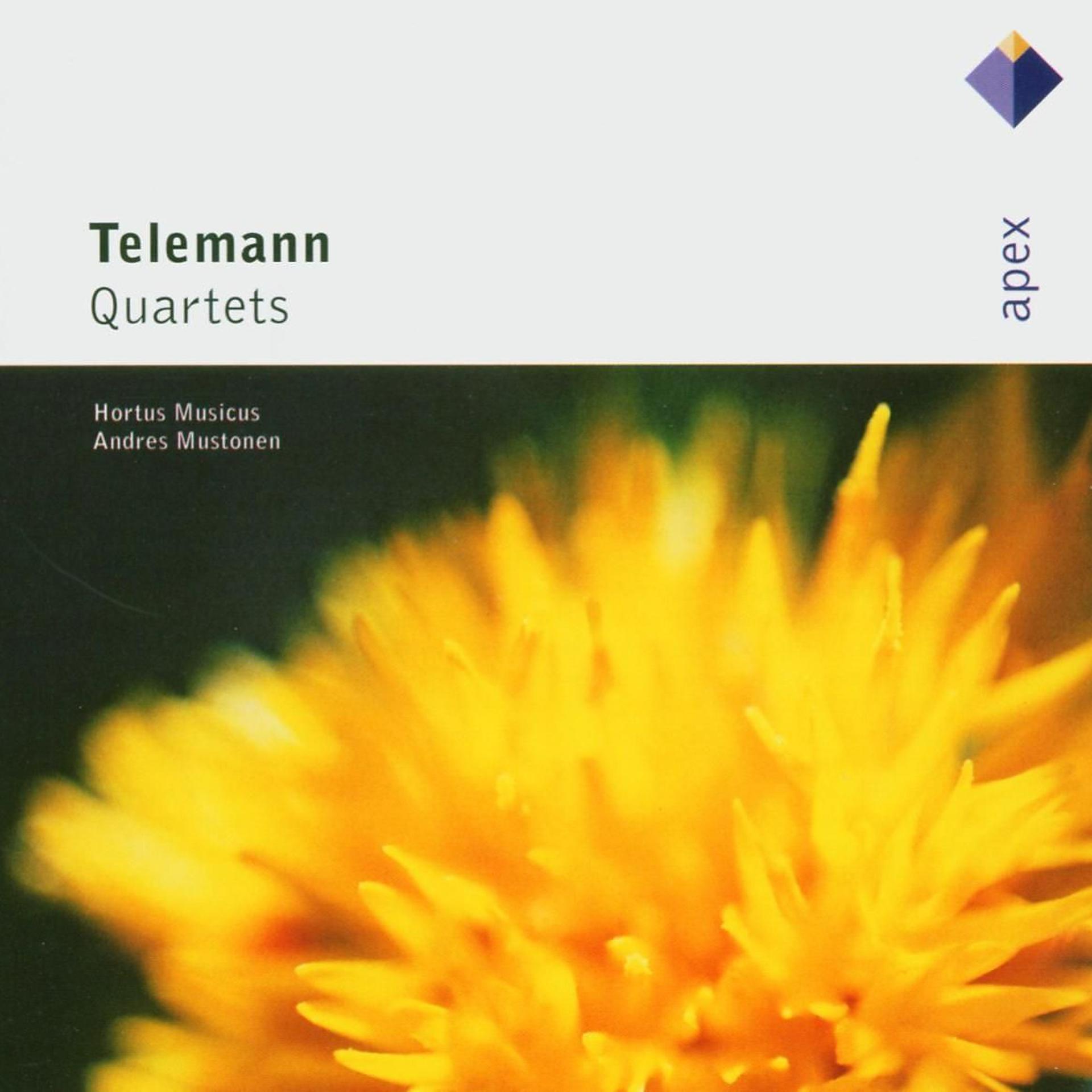 Постер альбома Apex: Telemann Quartets / Hortus Musicus
