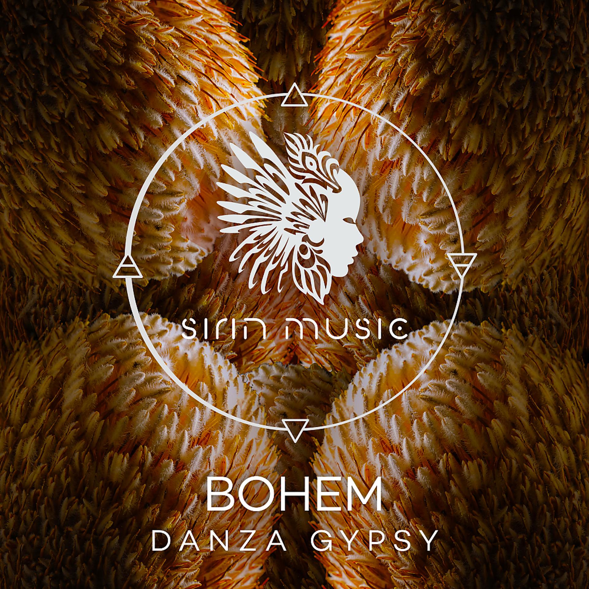 Постер альбома Danza Gypsy