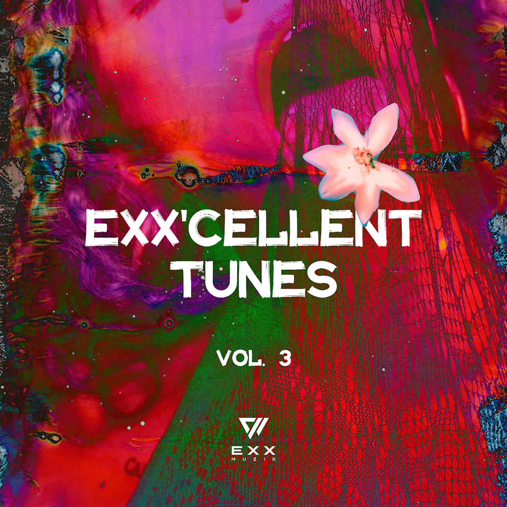 Постер альбома EXXcellent Tunes, Vol. 3