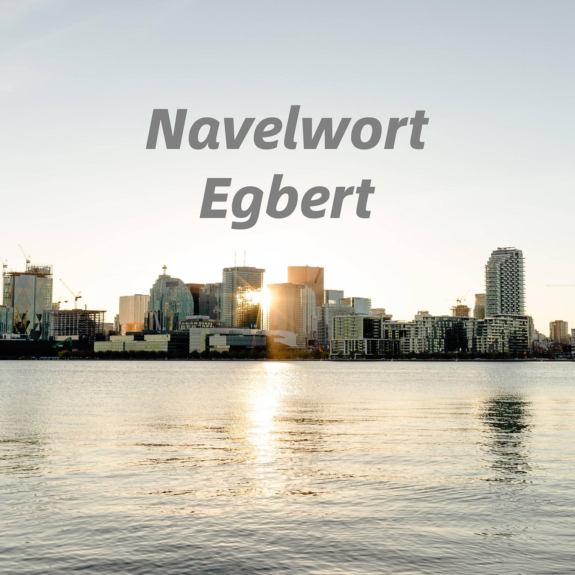 Постер альбома Navelwort