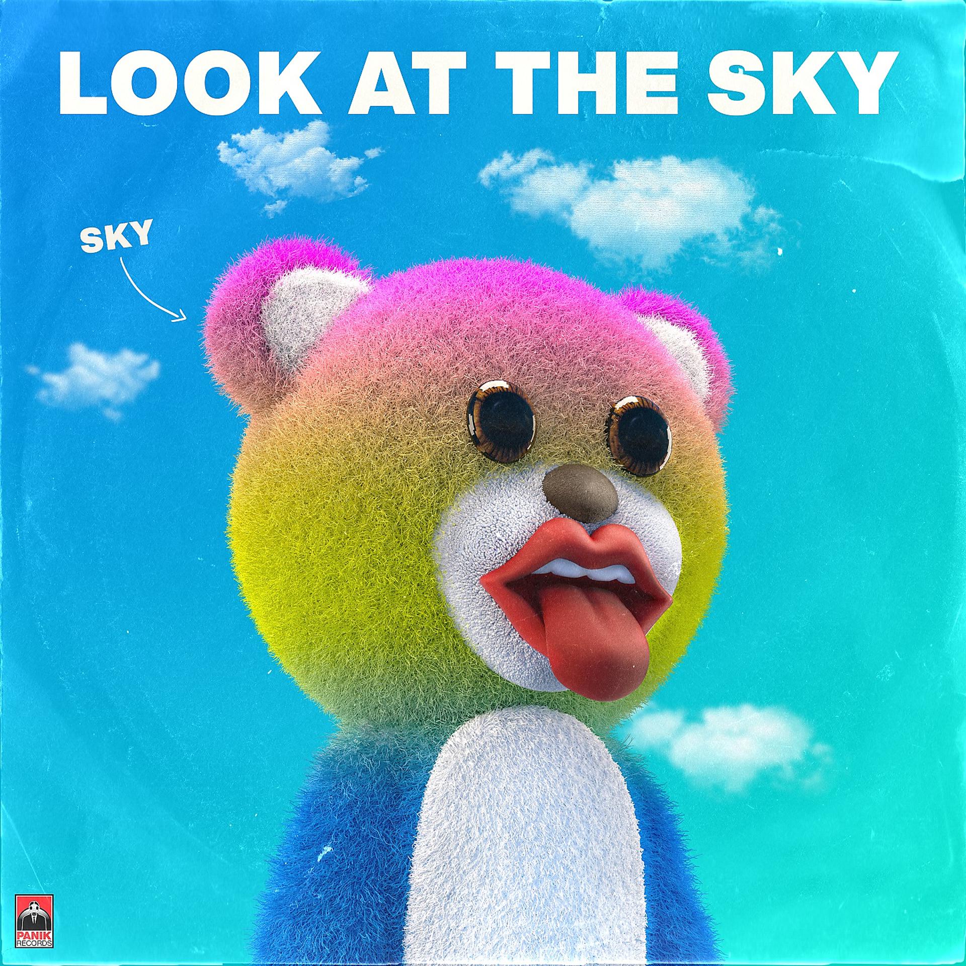Постер альбома Look At The Sky