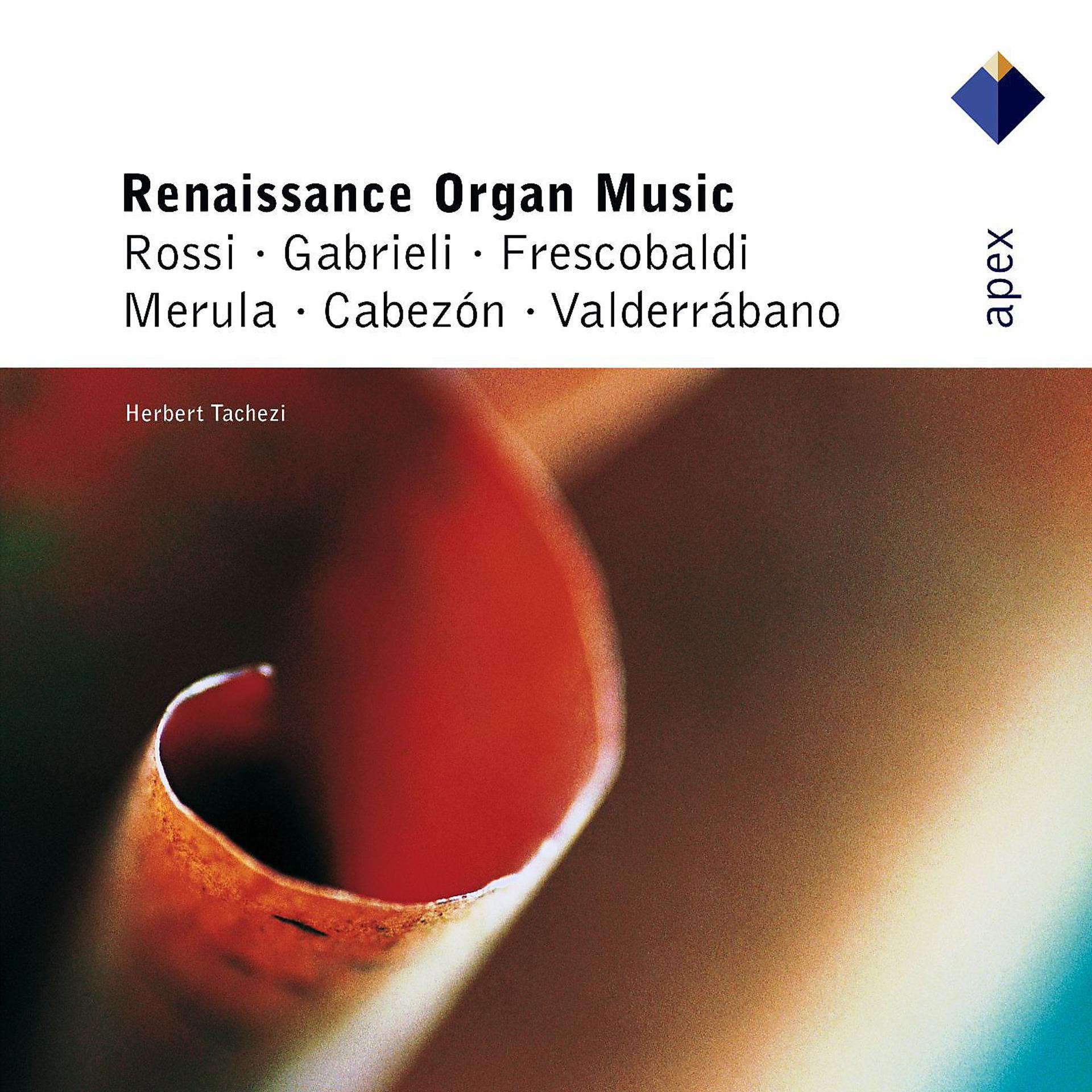 Постер альбома Renaissance Organ Music  -  Apex