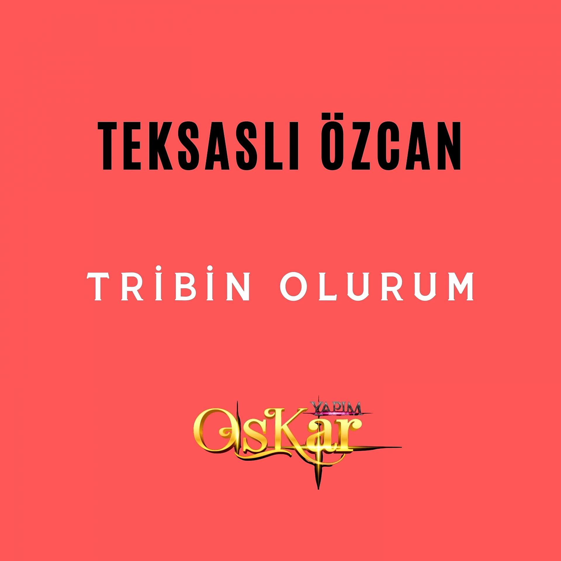 Постер альбома Tribin Olurum