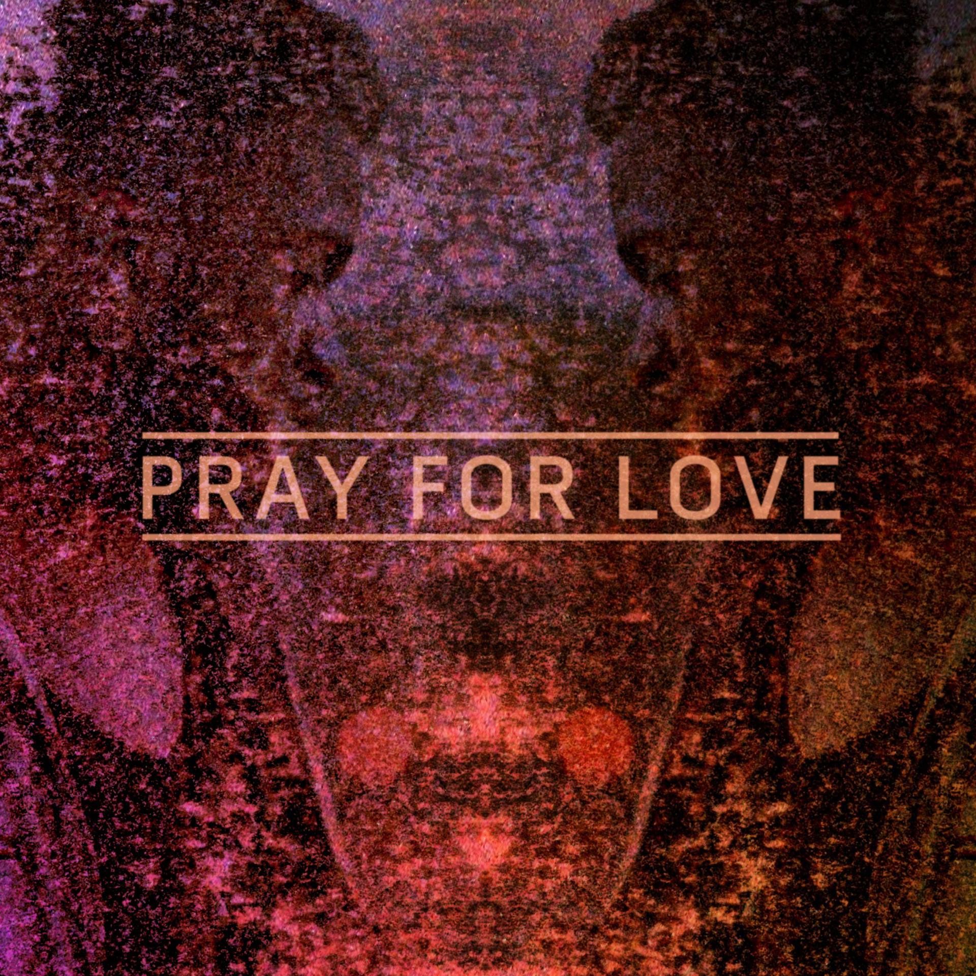 Постер альбома Pray for Love (Remixes)