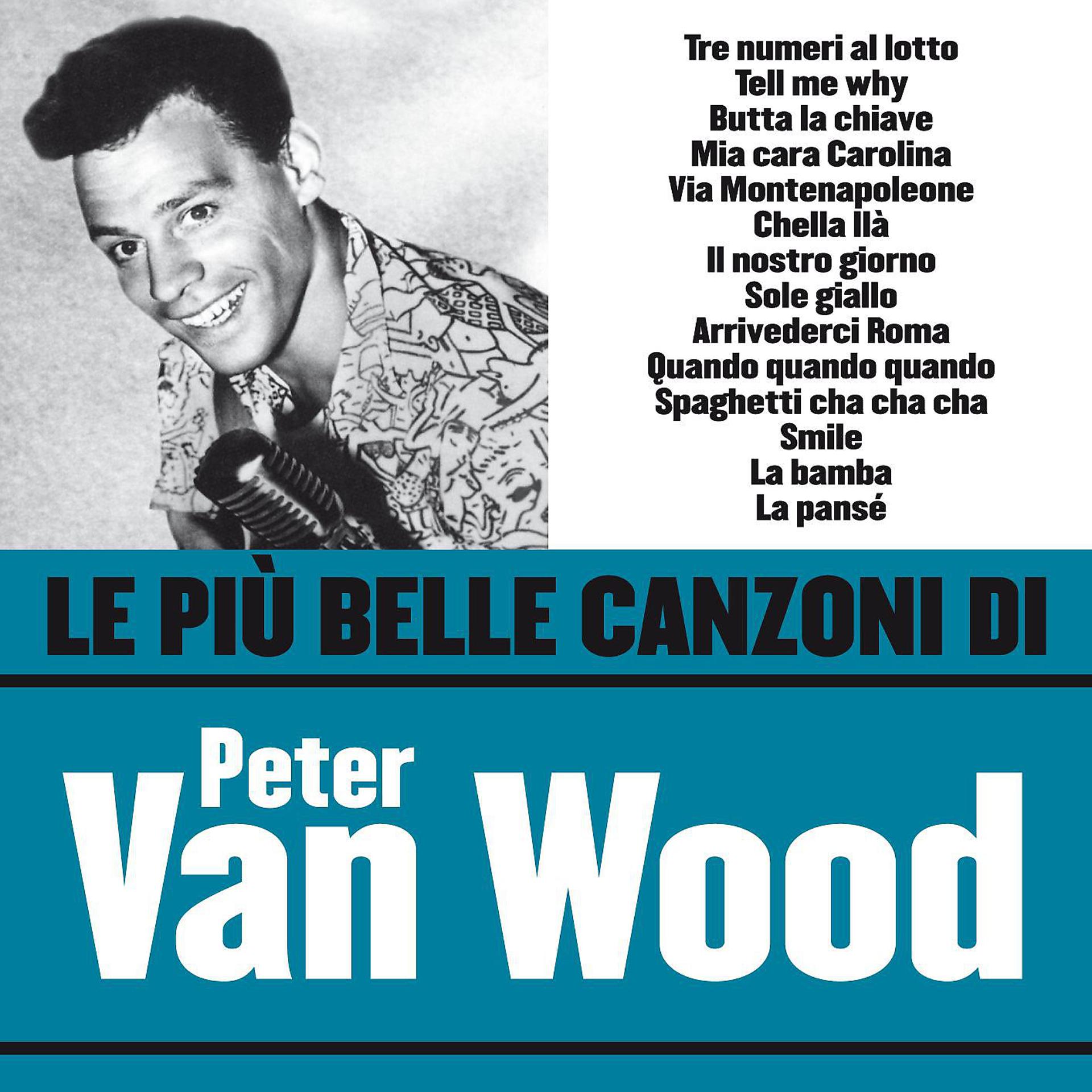 Постер альбома Le più belle canzoni di Peter Van Wood