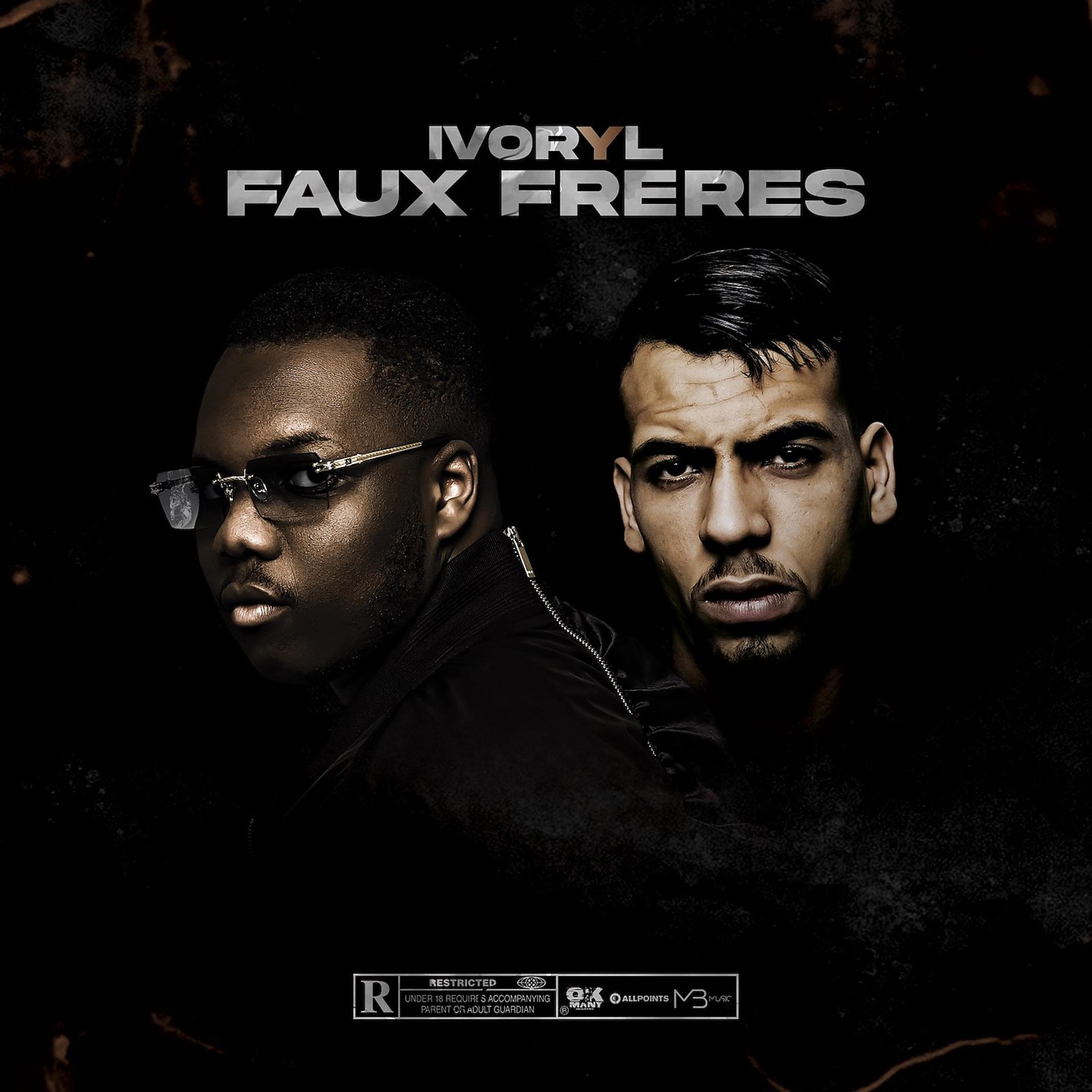 Постер альбома Faux frères