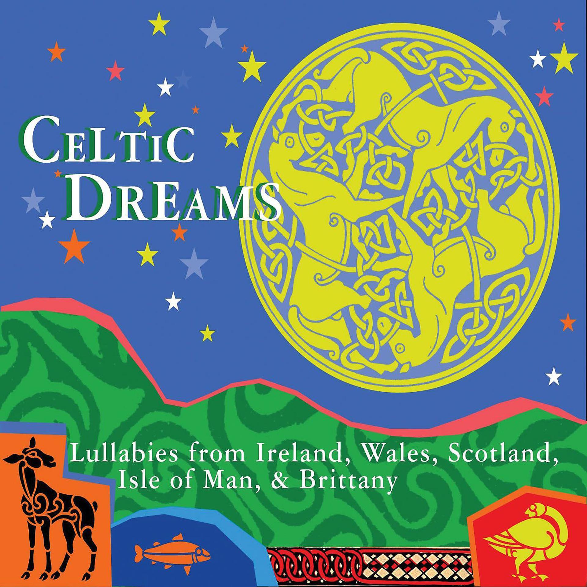 Постер альбома Celtic Dreams