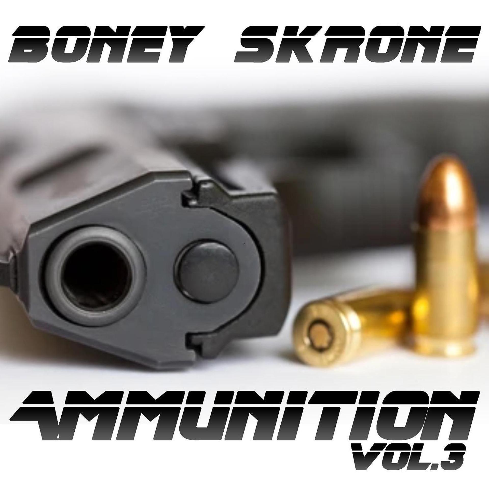 Постер альбома Ammunition, Vol. 3