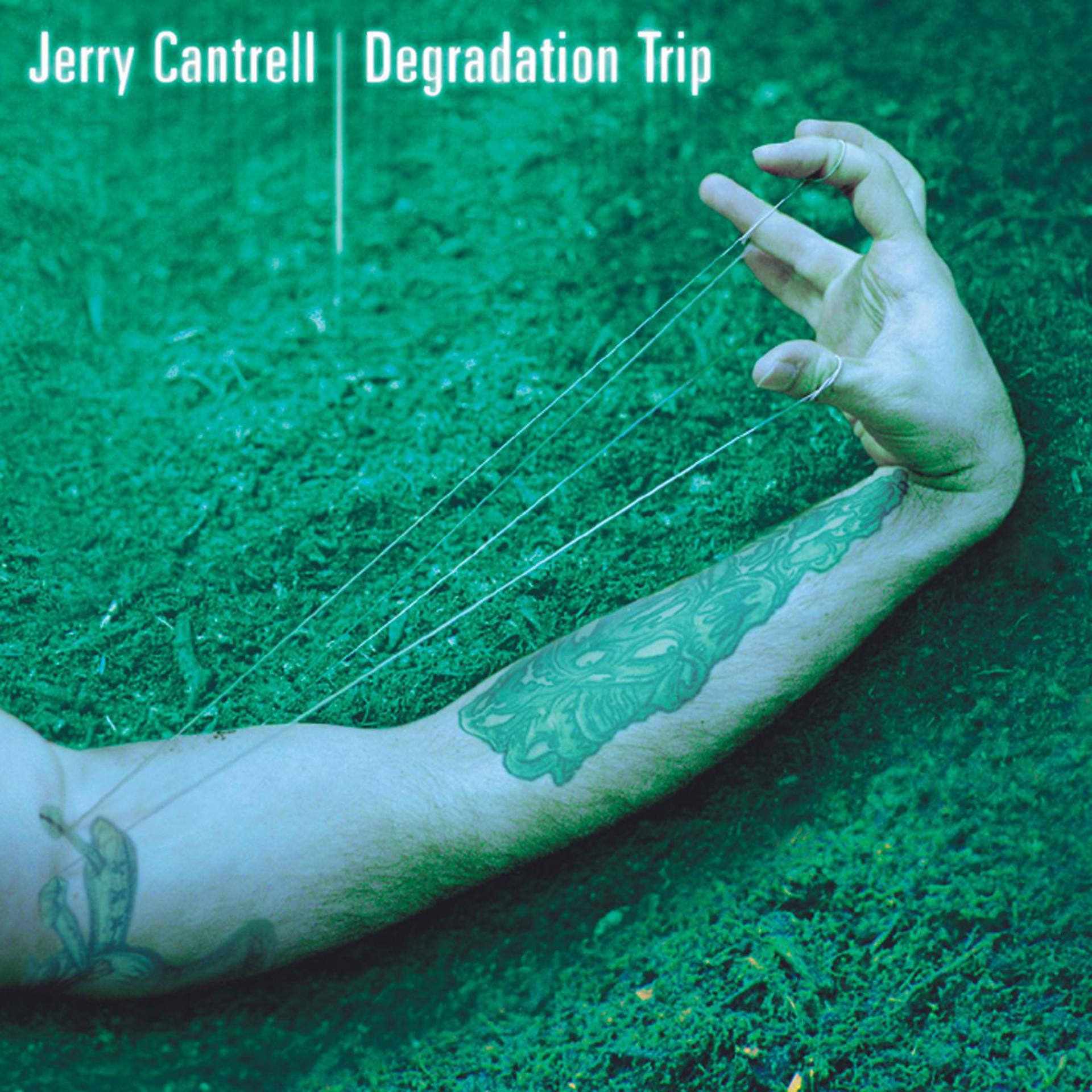Постер альбома Degradation Trip