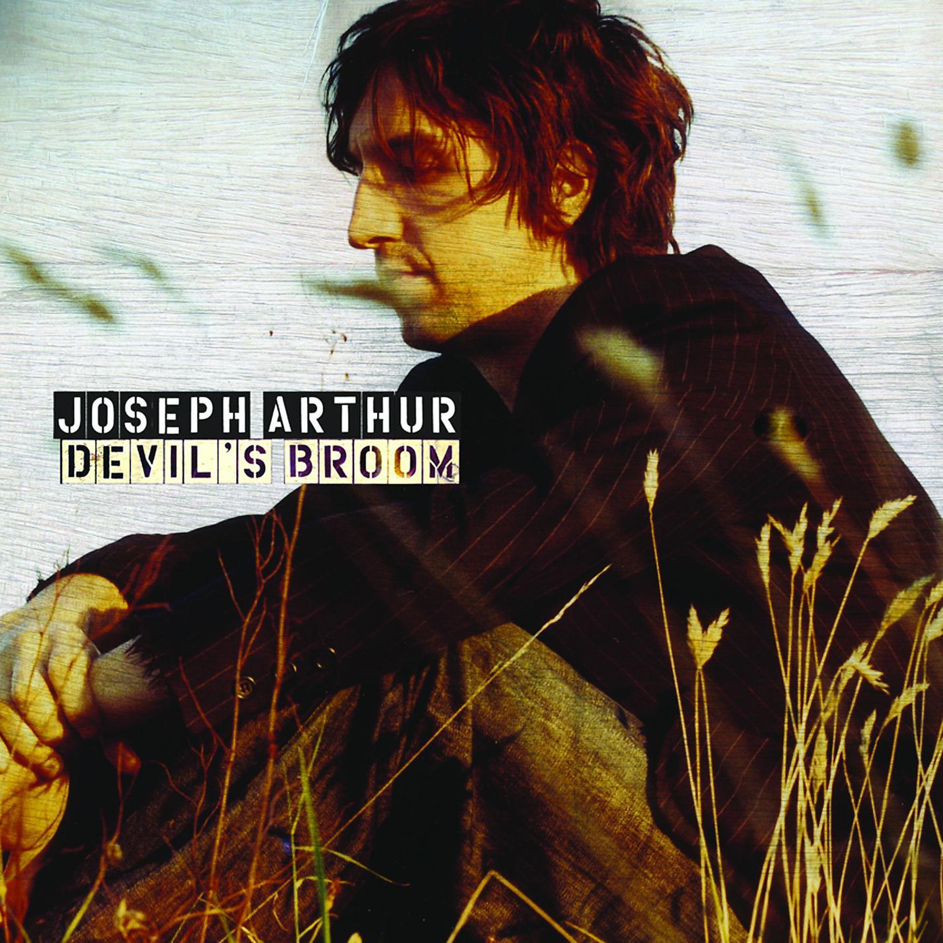 Постер альбома Devil's Broom (CD)