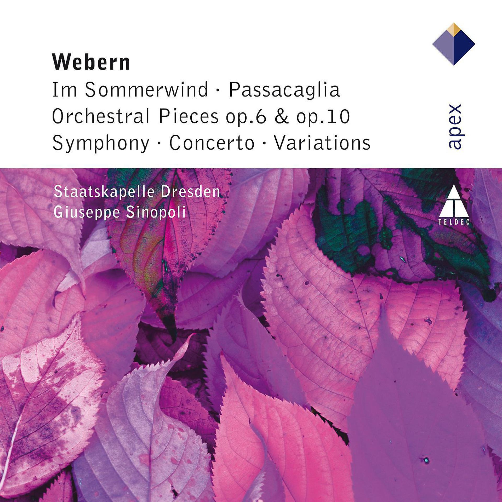 Постер альбома Webern : Im Sommerwind, Orchestral Works & Variations