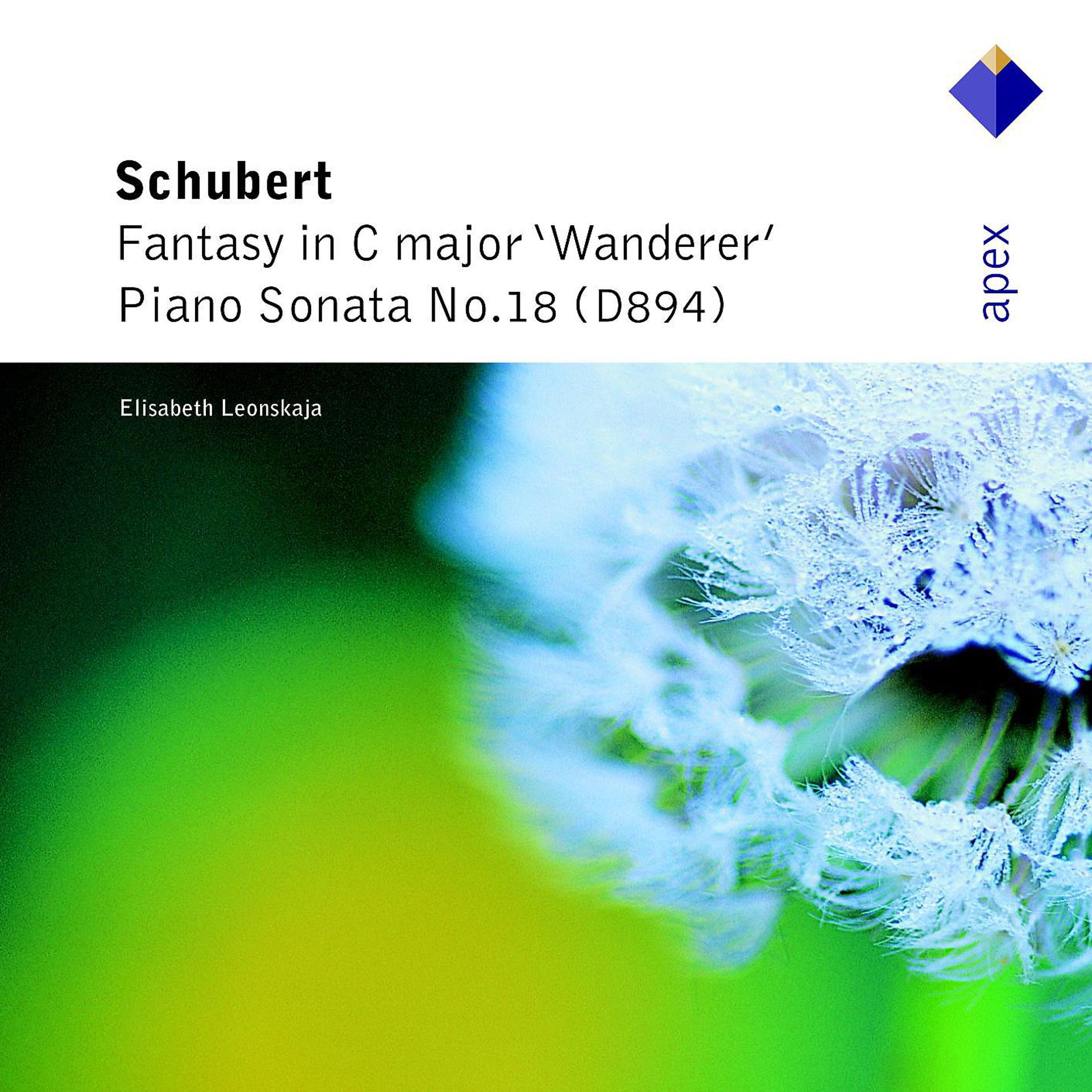 Постер альбома Schubert: Wanderer Fantasy, Op. 15 & Piano Sonata No. 18