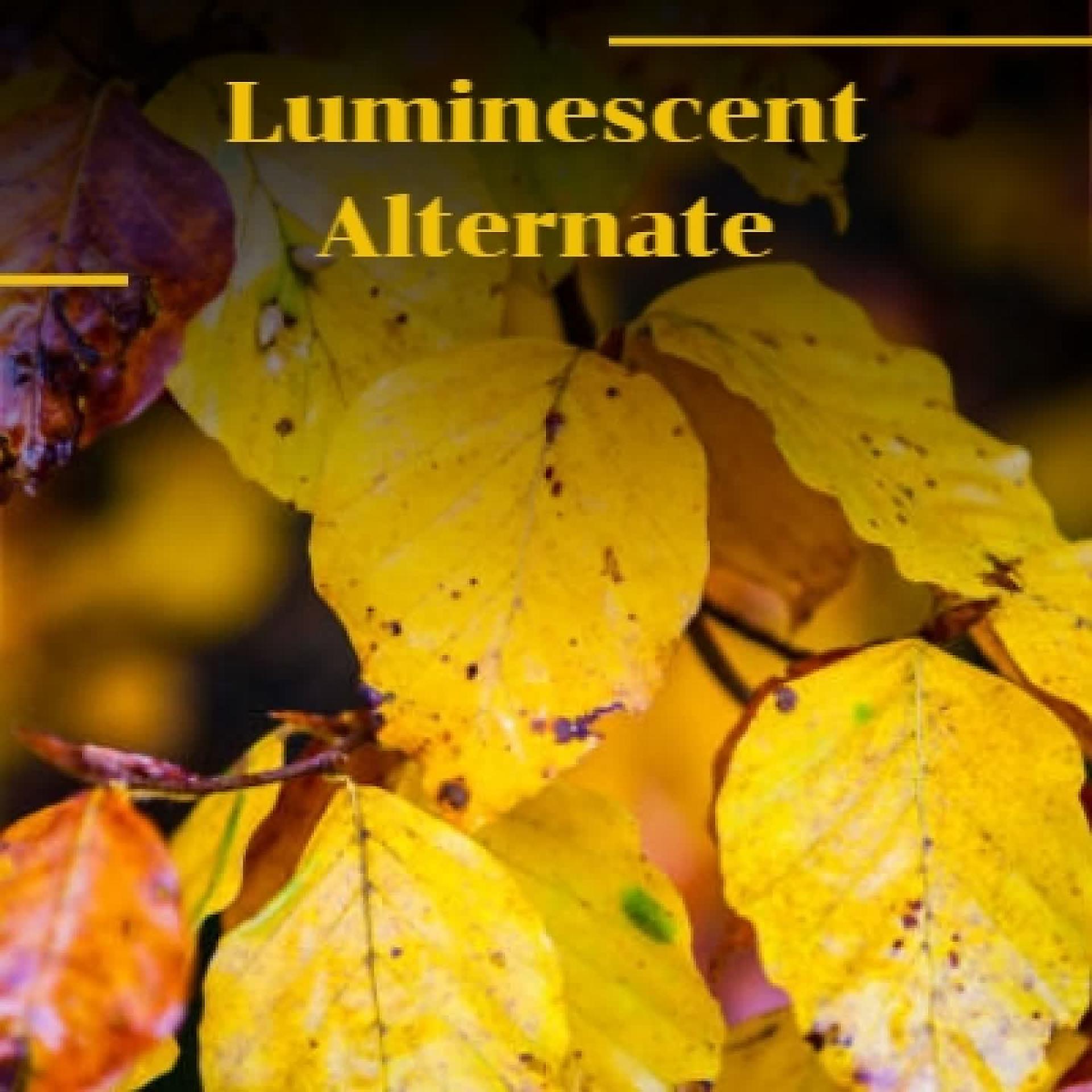 Постер альбома Luminescent Alternate