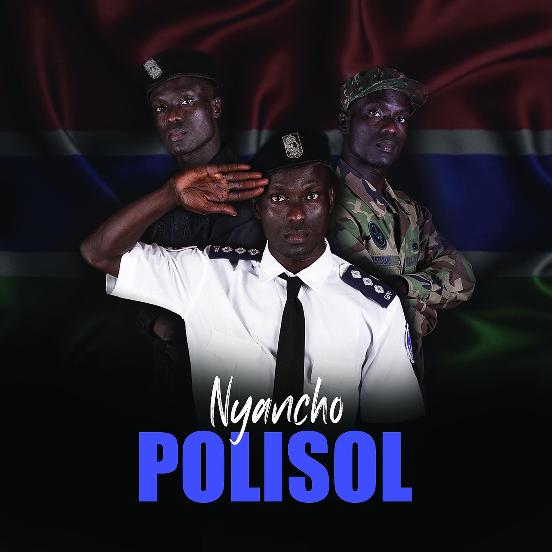 Постер альбома Polisol