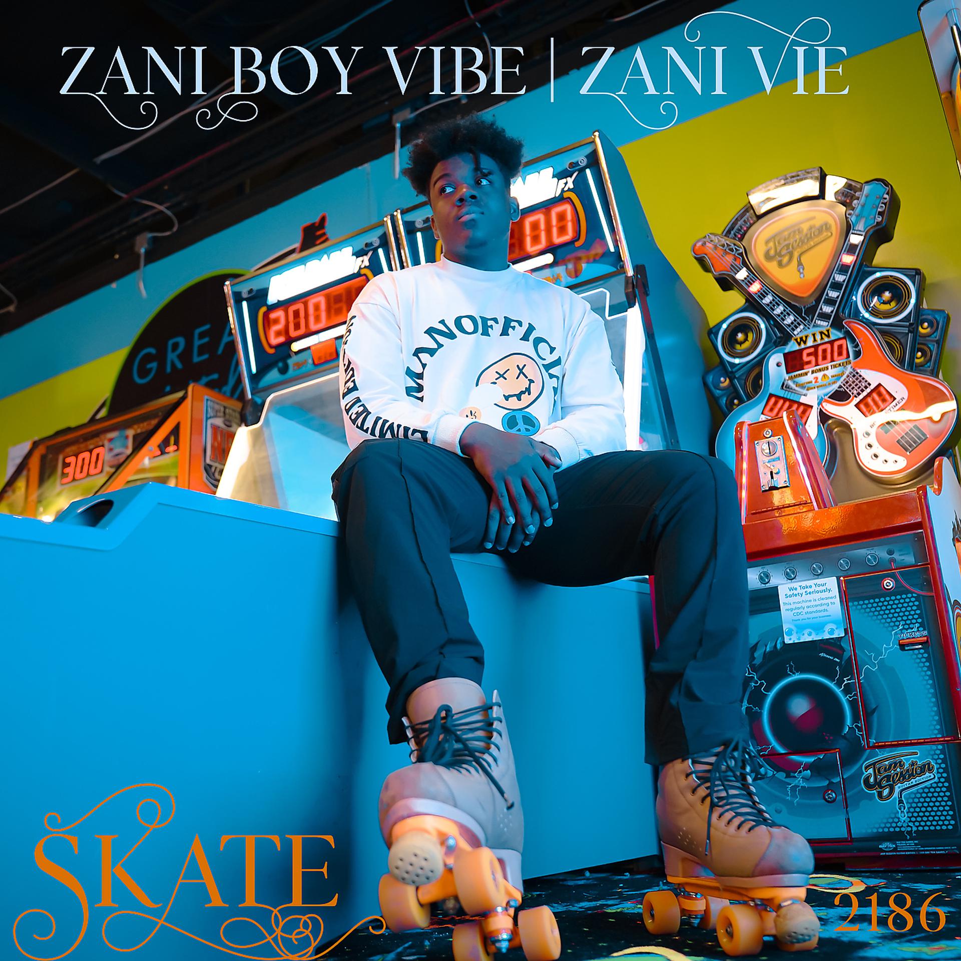 Постер альбома Zani Boy Vibe (Skate)