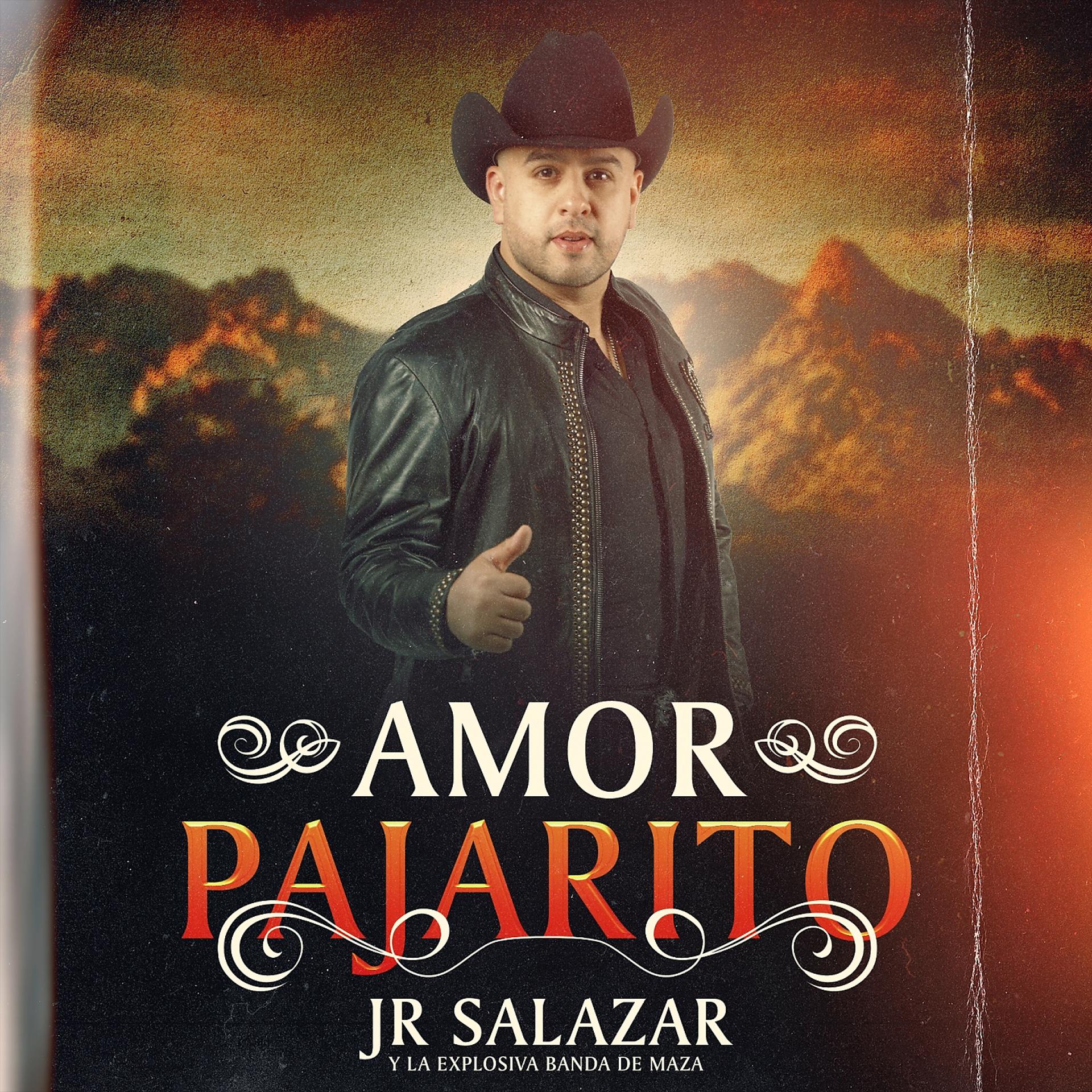 Постер альбома Amor Pajarito